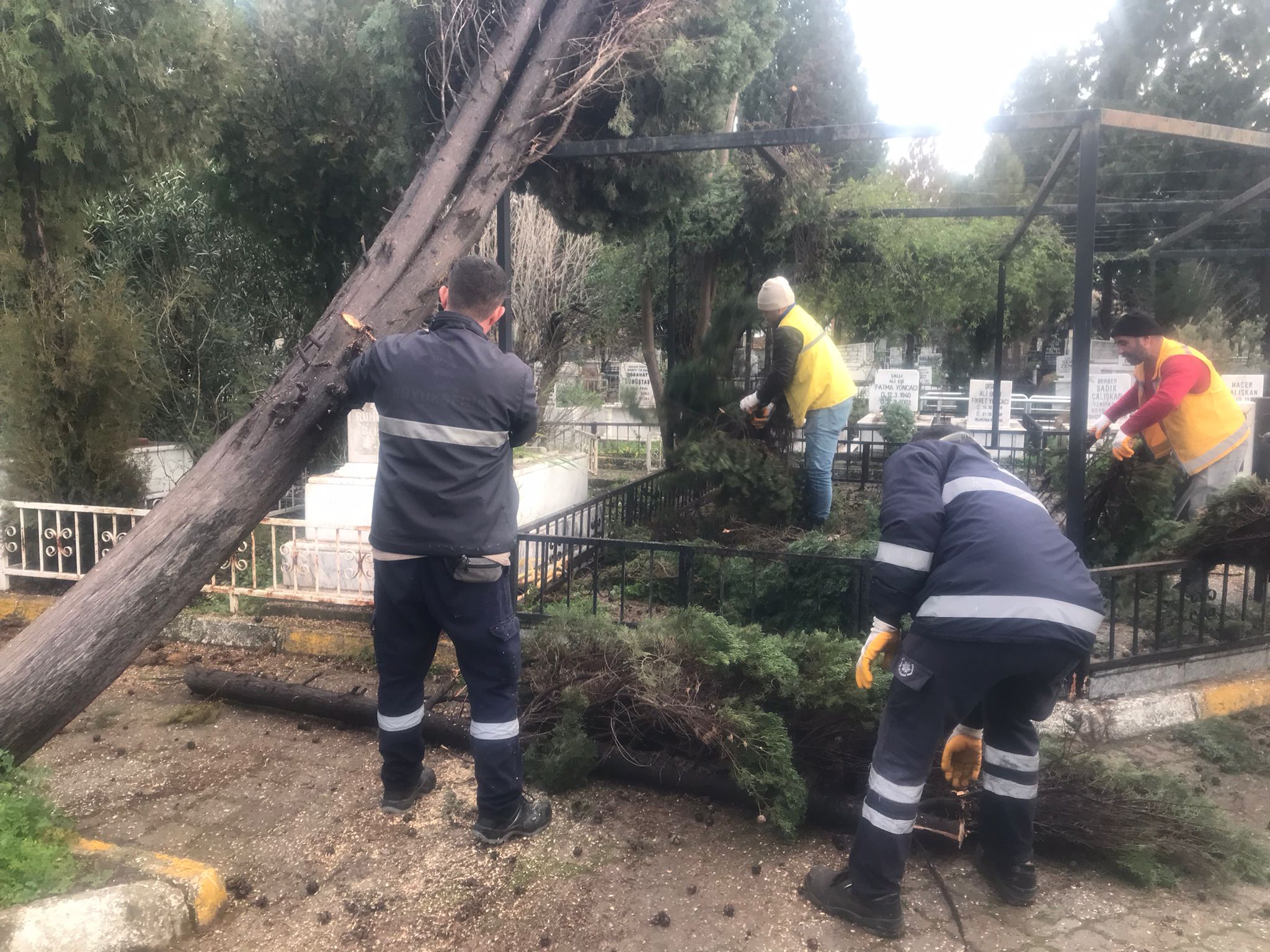 Whatsapp Image 2026 01 08 At 19.09.06 (2)