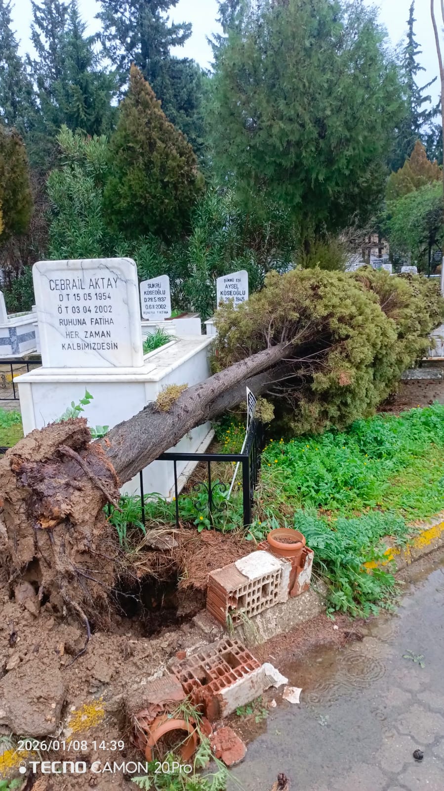 Whatsapp Image 2026 01 08 At 19.09.06