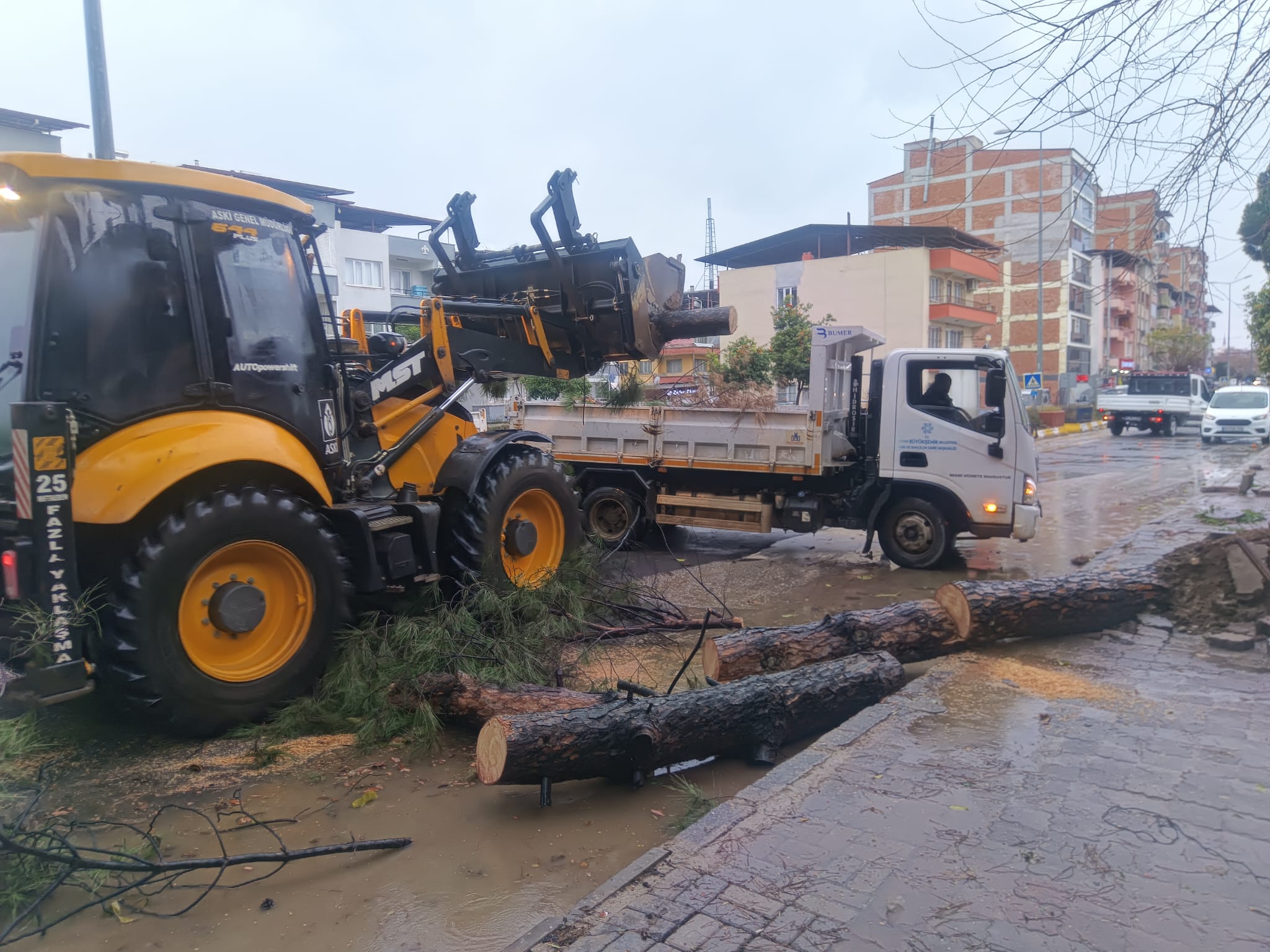 Whatsapp Image 2026 01 08 At 19.09.08