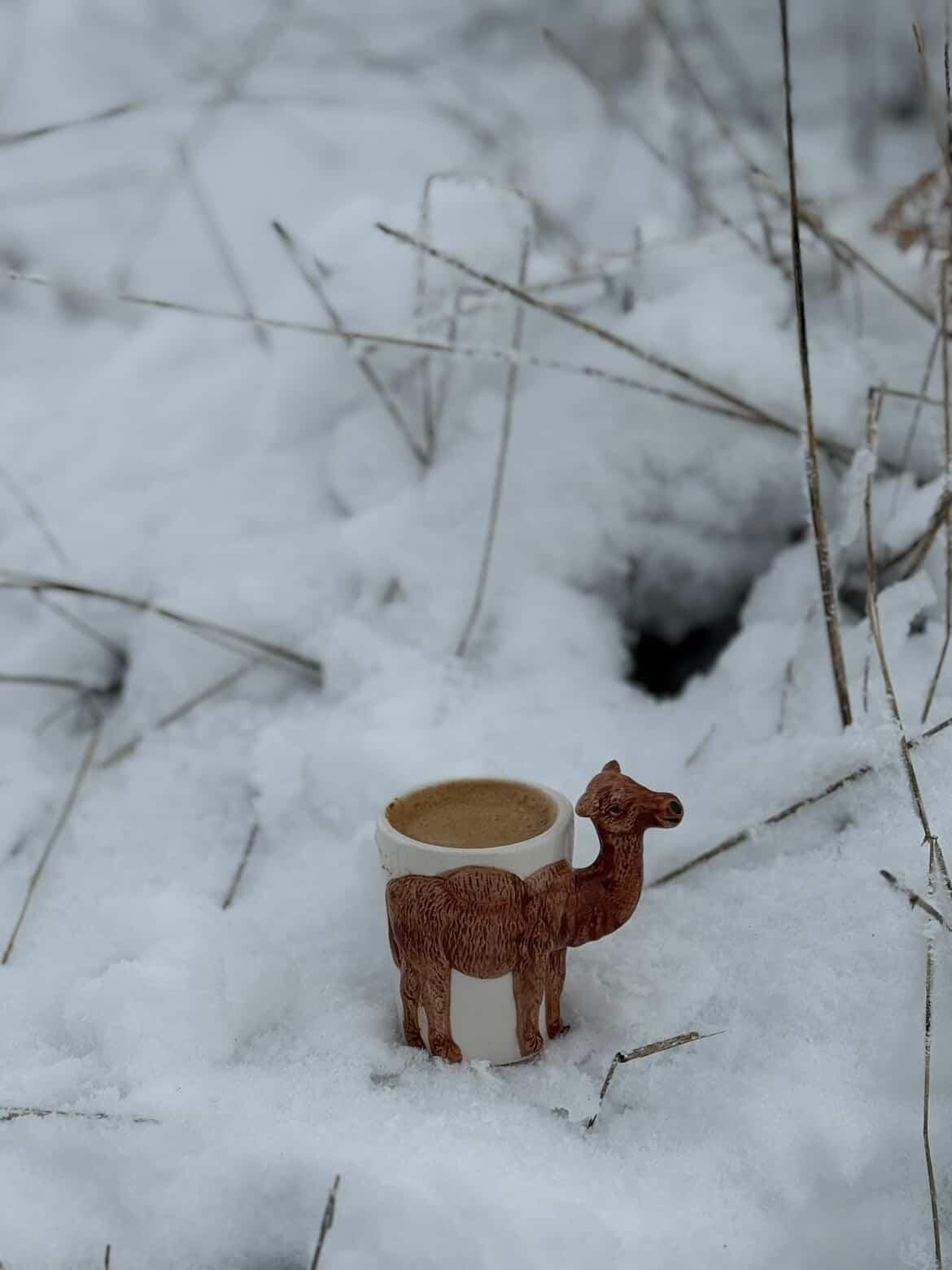 Whatsapp Image 2026 01 13 At 20.00.16 (2)