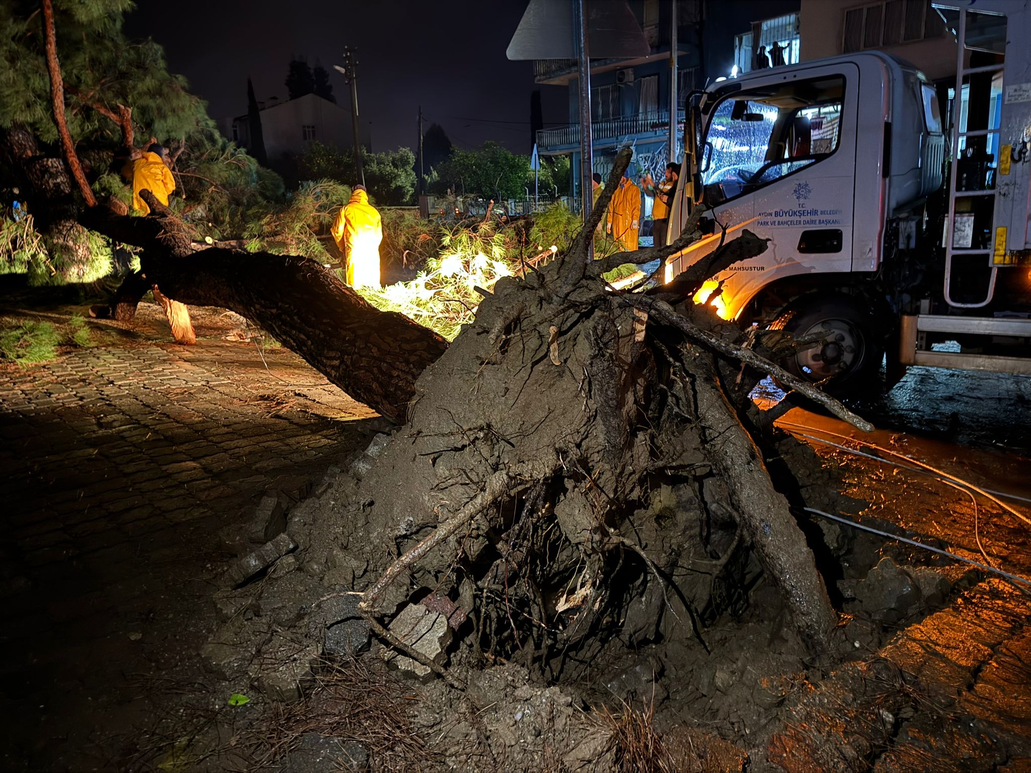 Whatsapp Image 2026 01 26 At 19.39.25 (2)