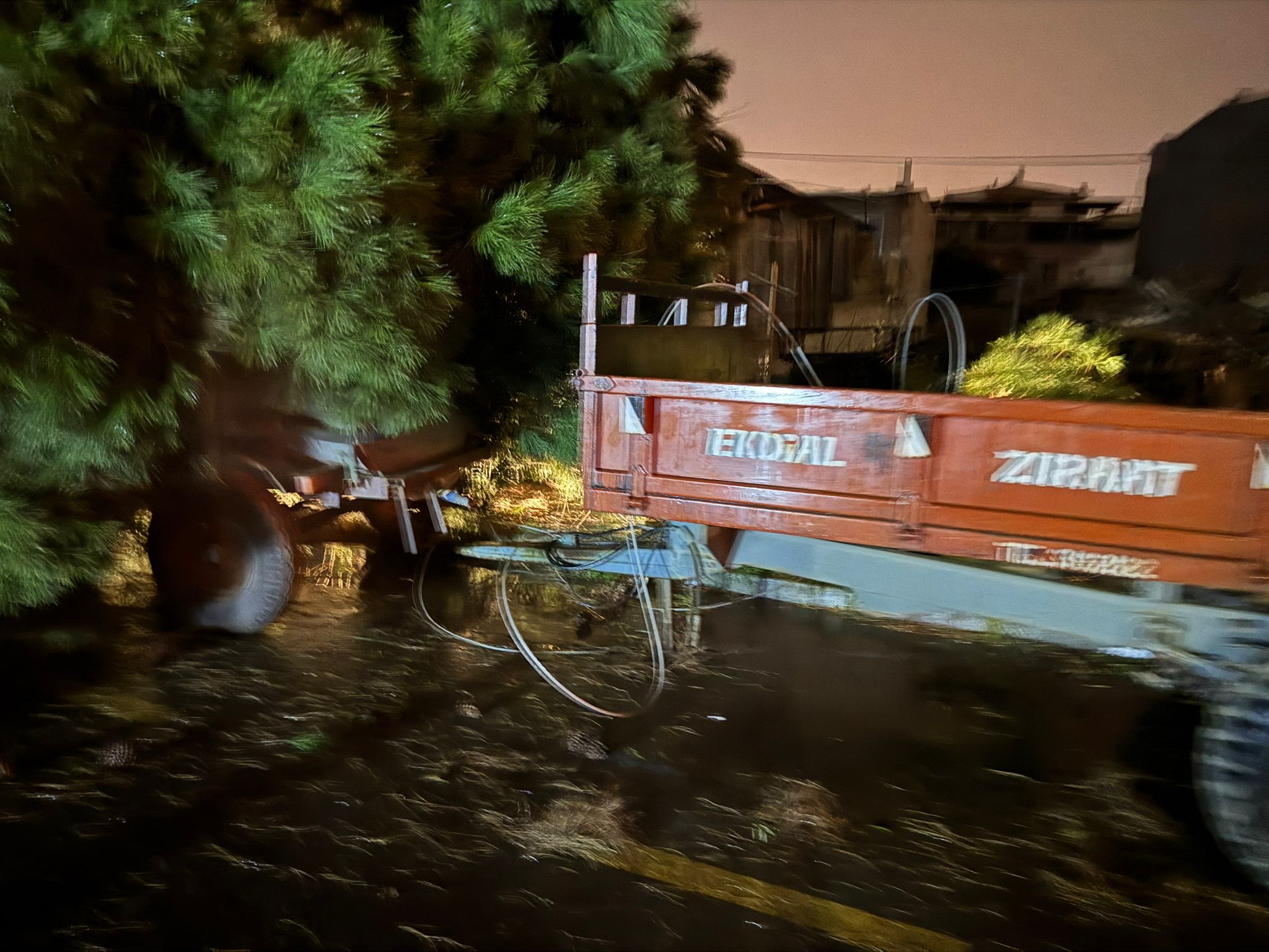 Whatsapp Image 2026 01 26 At 19.39.26 (2)