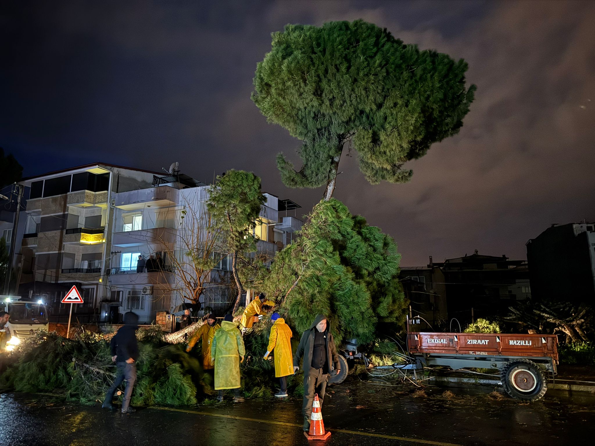 Whatsapp Image 2026 01 26 At 19.39.26