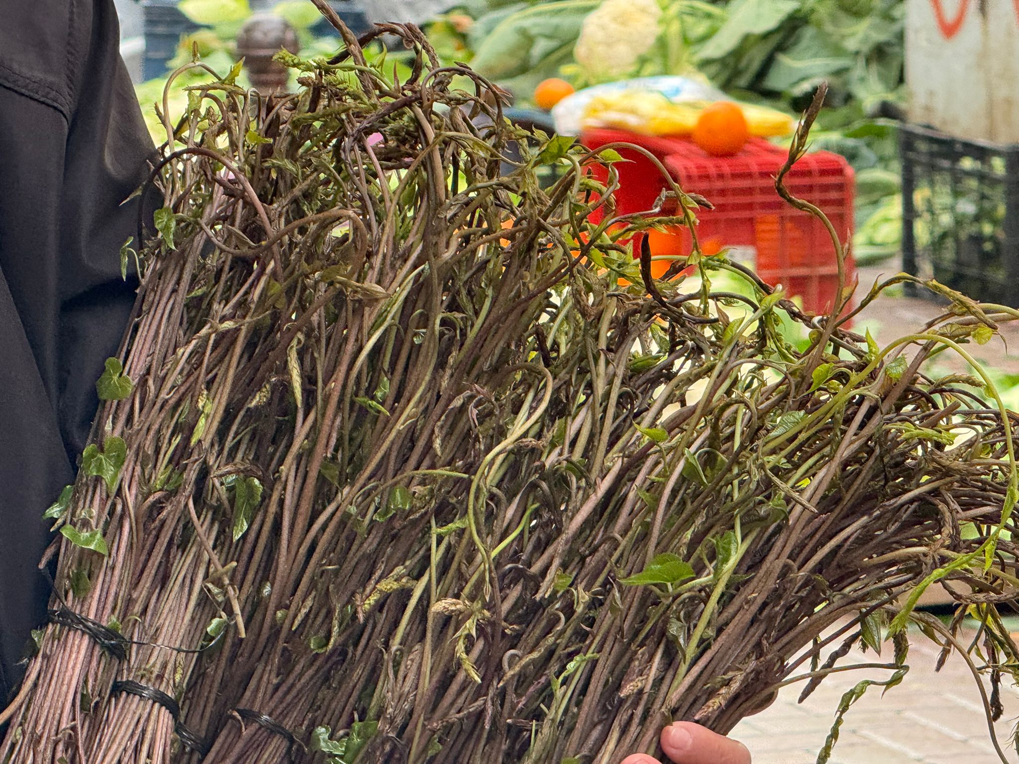 Whatsapp Image 2026 01 29 At 10.02.18 (1)