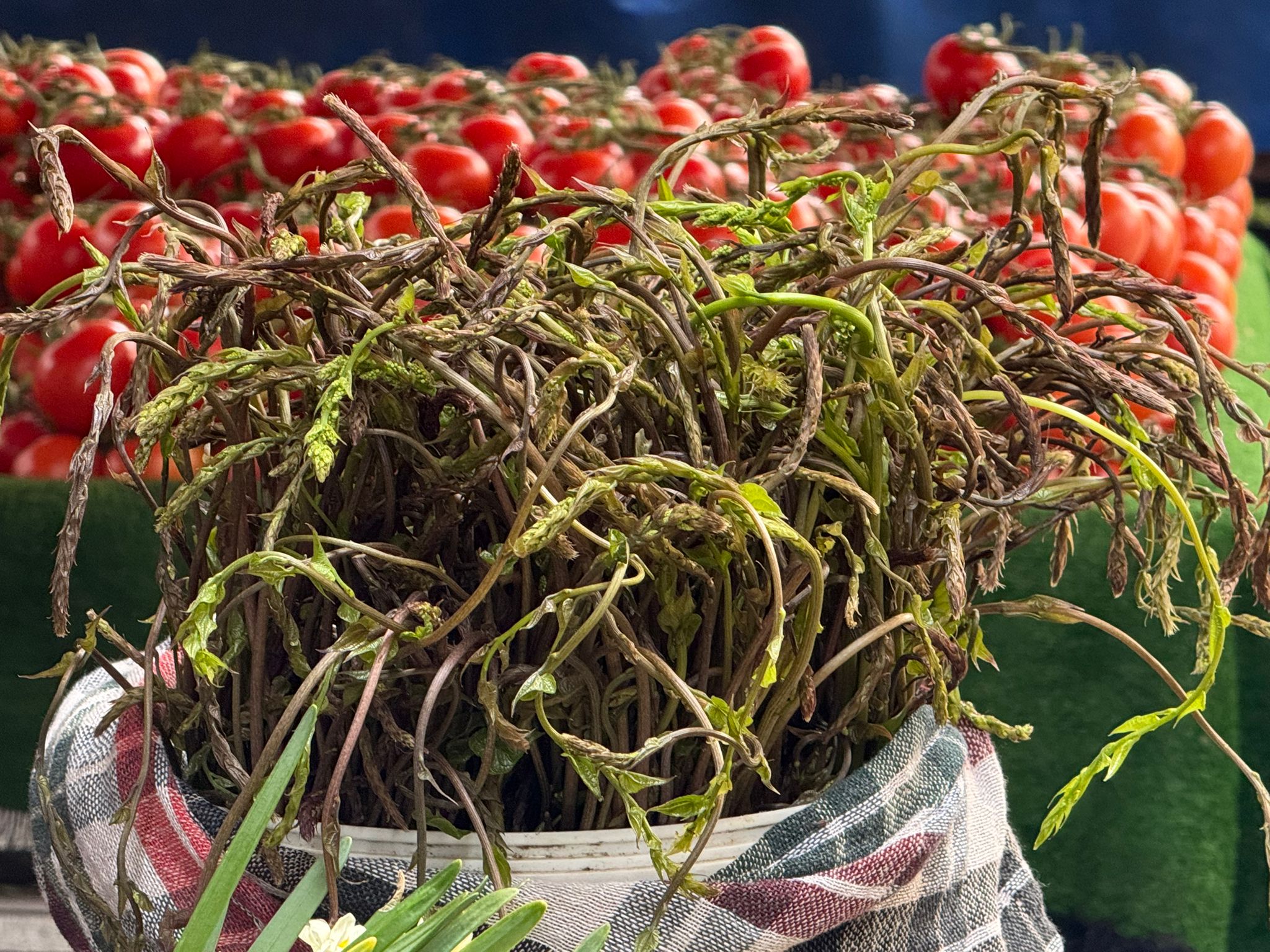 Whatsapp Image 2026 01 29 At 10.02.19 (1)