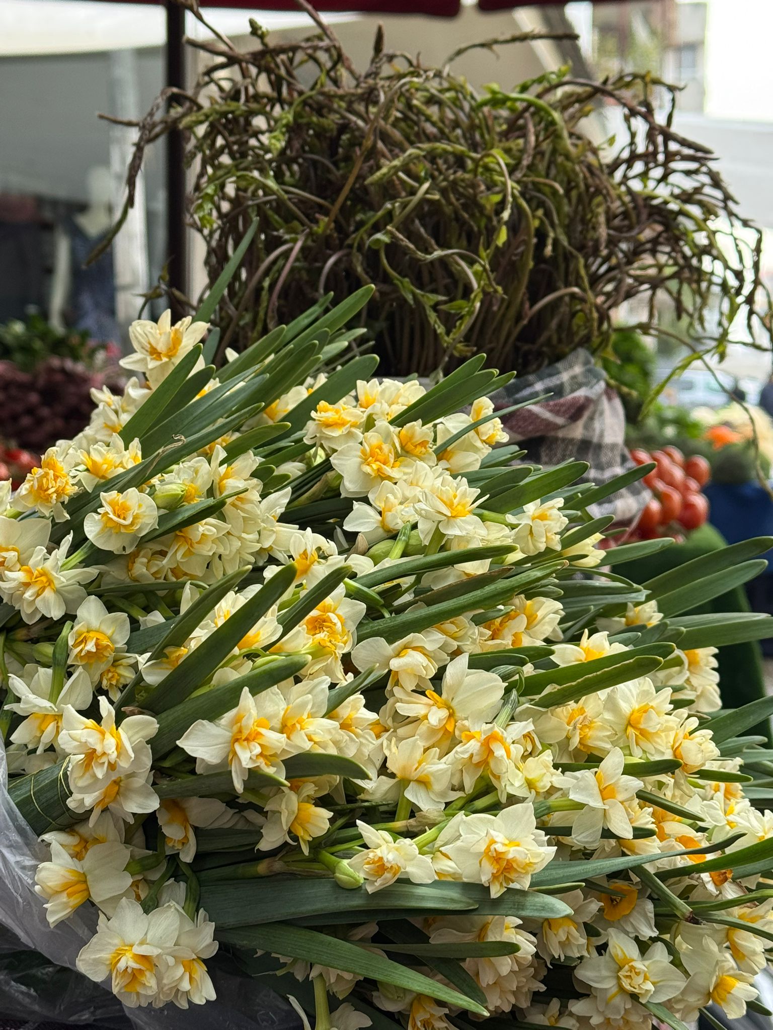 Whatsapp Image 2026 01 29 At 10.02.19 (2)