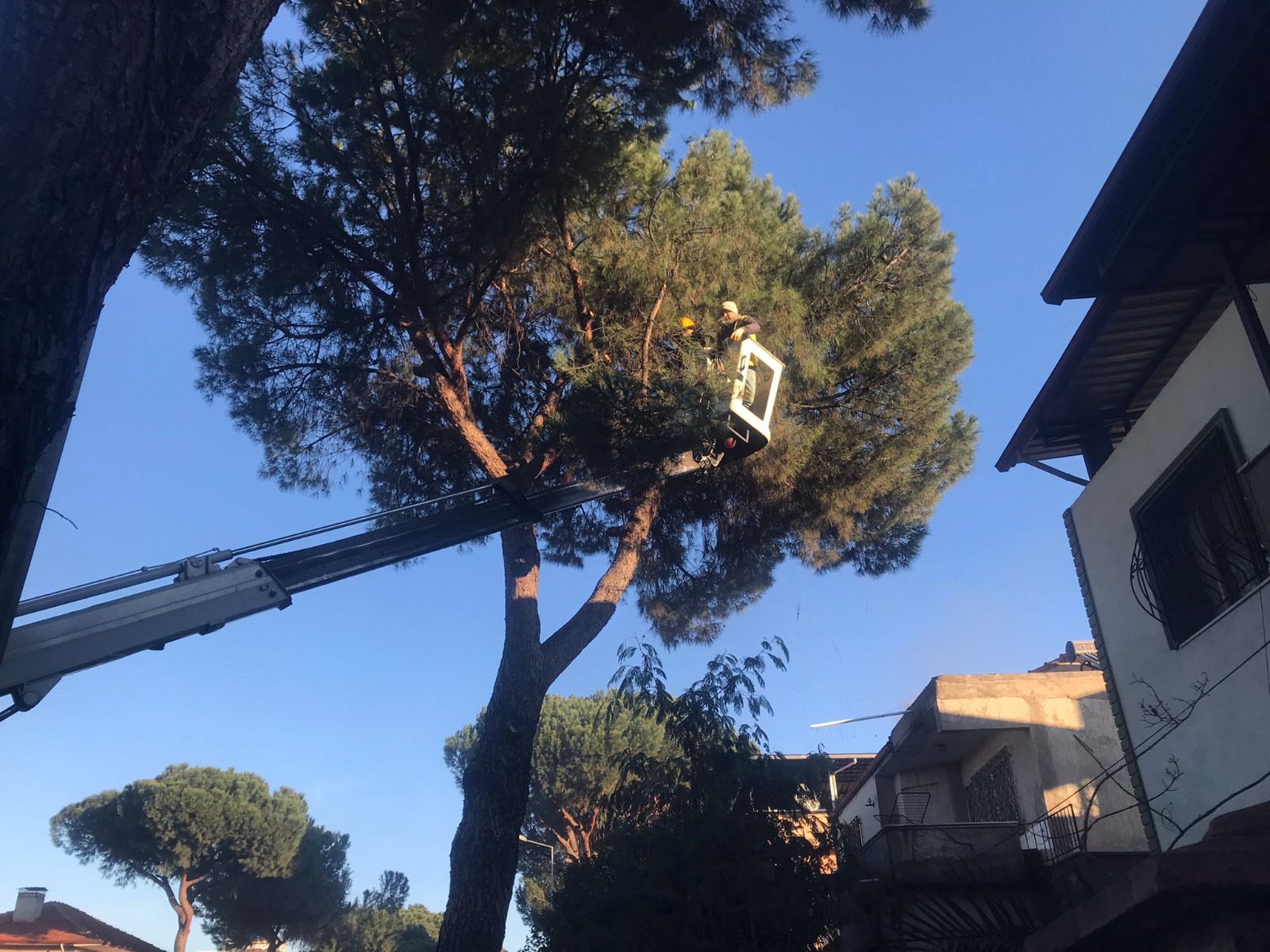 Whatsapp Image 2026 02 03 At 12.57.21