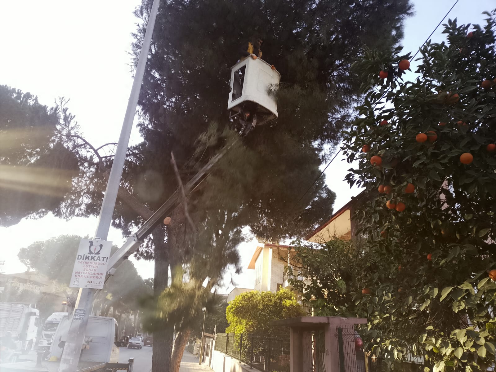 Whatsapp Image 2026 02 03 At 12.57.24 (1)