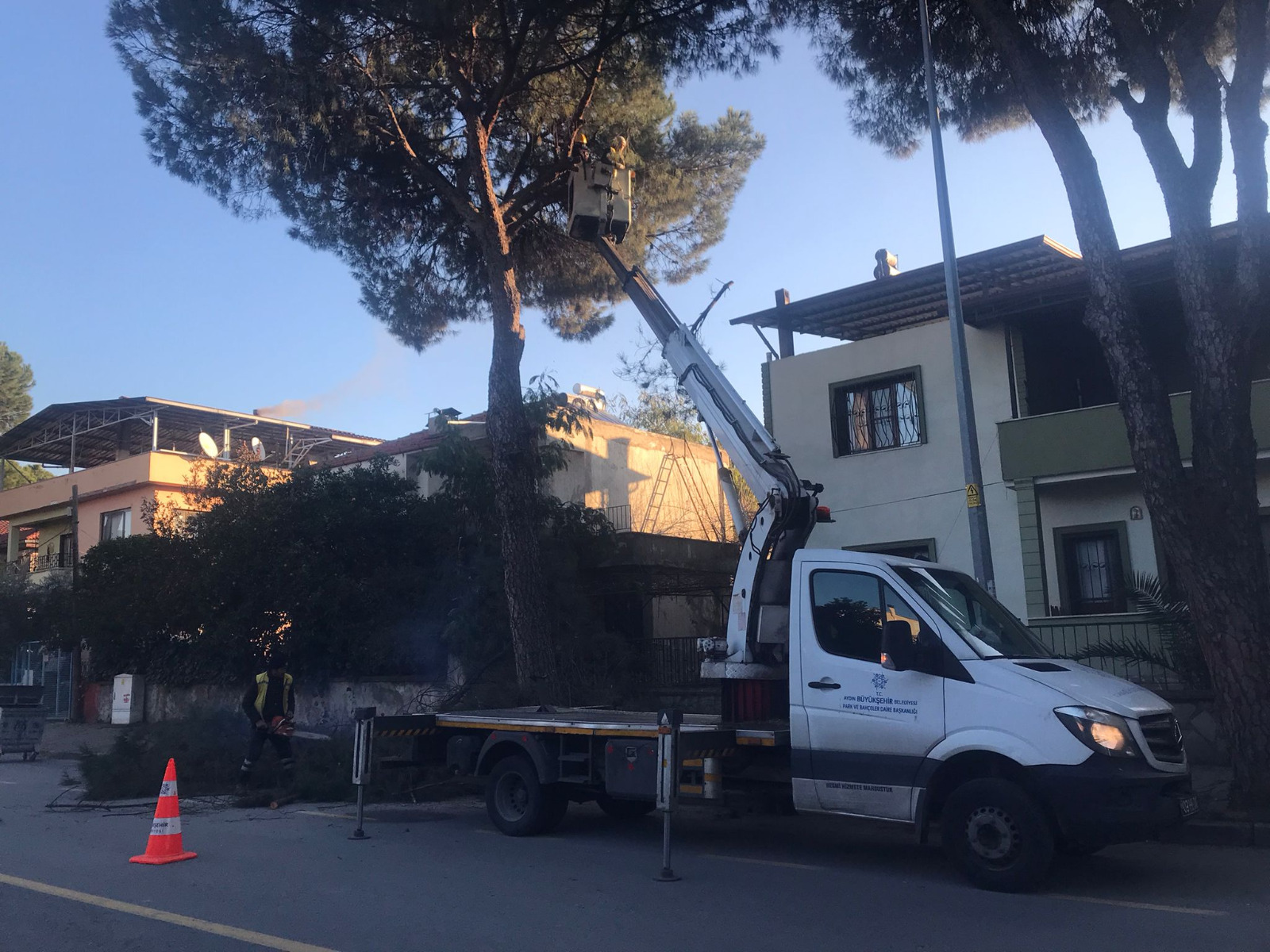 Whatsapp Image 2026 02 03 At 12.57.24