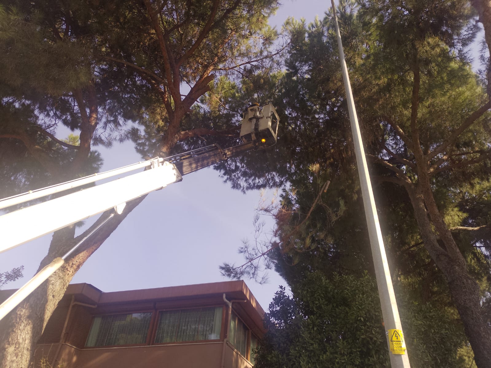 Whatsapp Image 2026 02 03 At 12.57.25 (1)