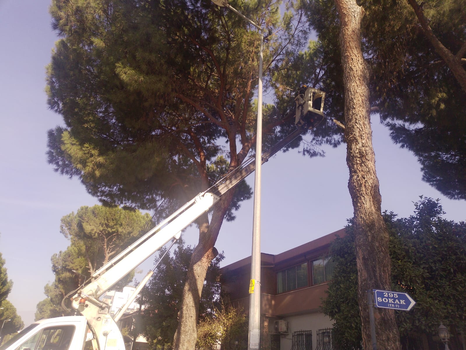 Whatsapp Image 2026 02 03 At 12.57.25