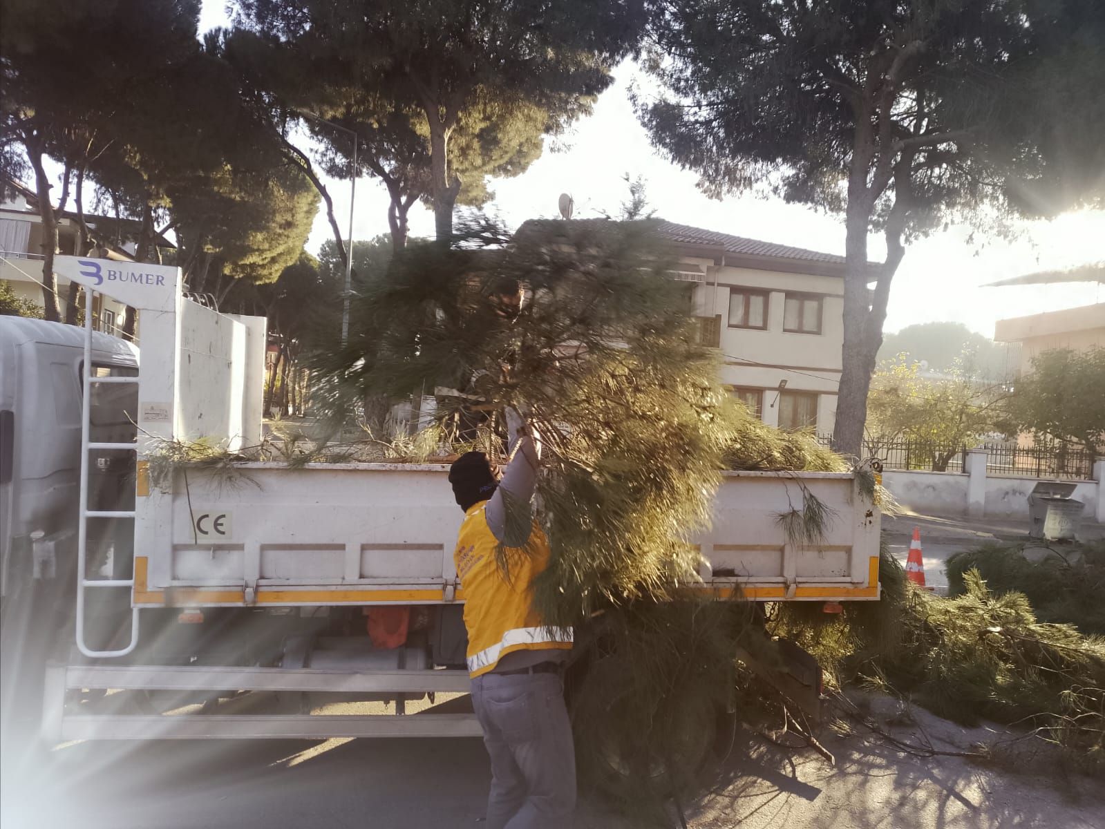 Whatsapp Image 2026 02 03 At 12.57.26 (1)