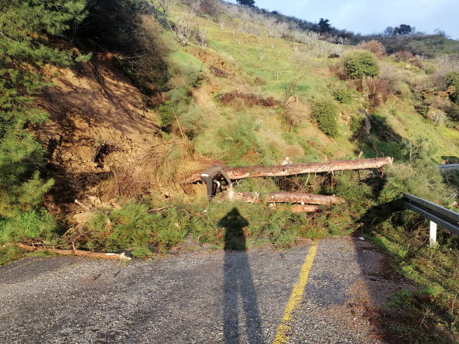 Whatsapp Image 2026 02 06 At 10.21.03