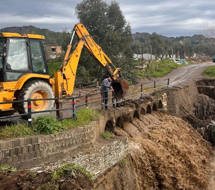 Whatsapp Image 2026 02 07 At 12.04.57 (1)