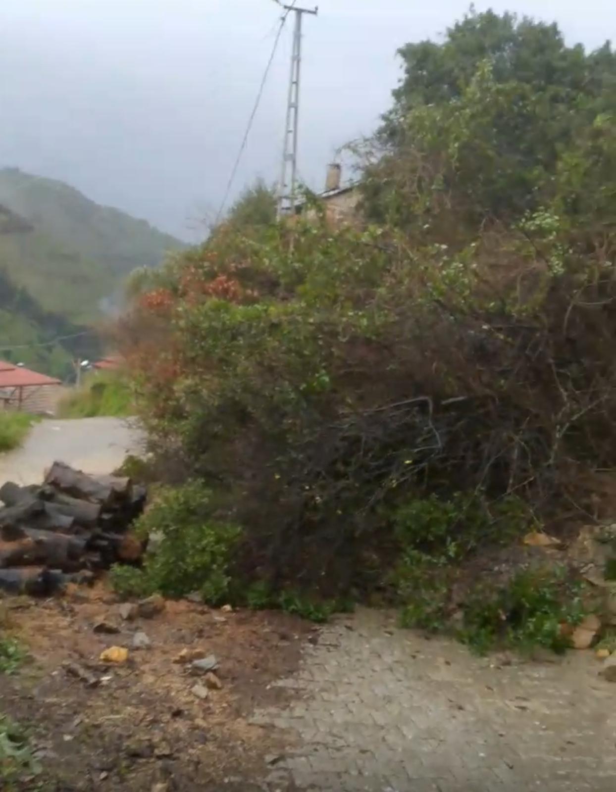 Whatsapp Image 2026 02 14 At 11.16.49 (2)