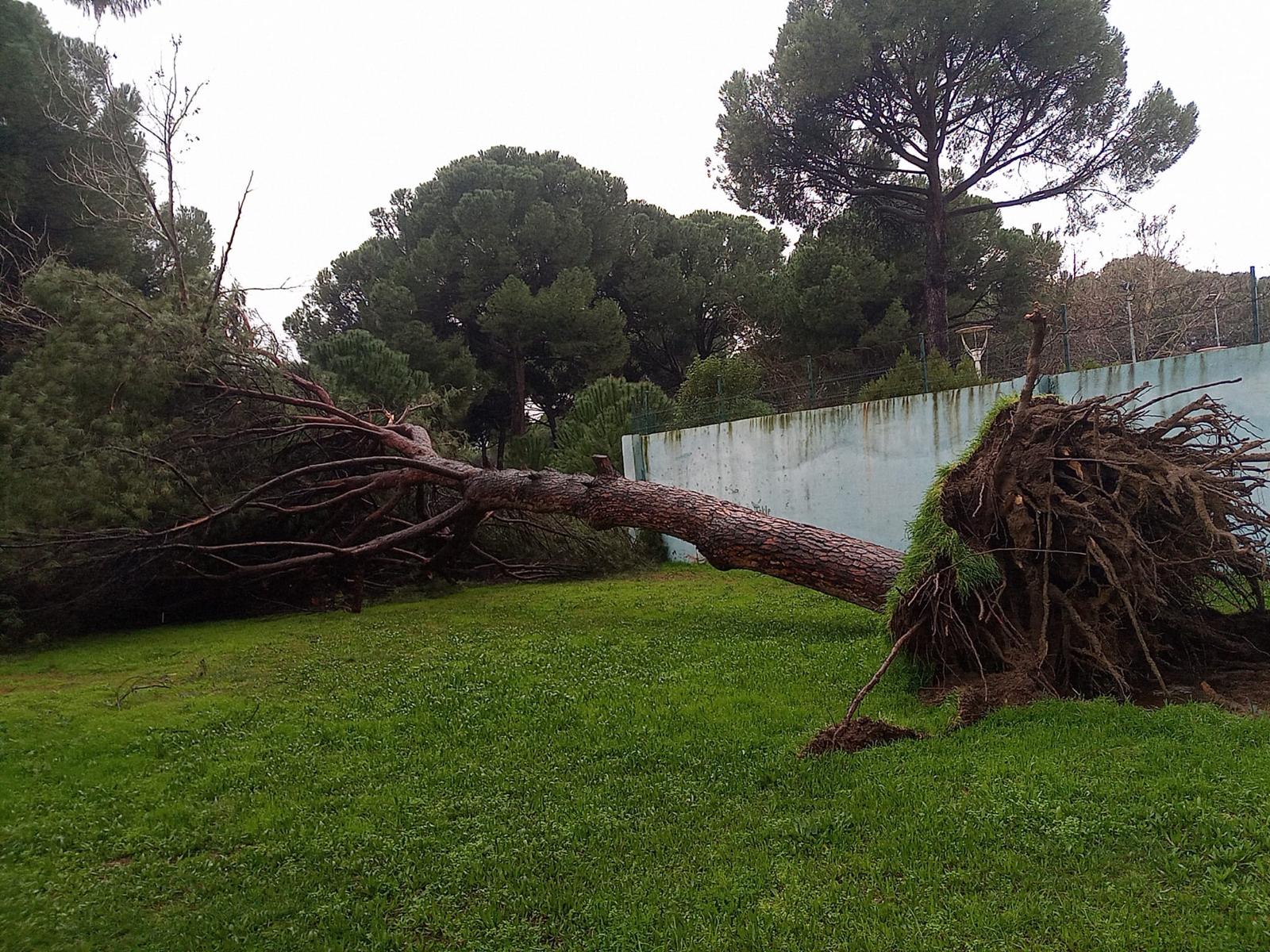 Whatsapp Image 2026 02 14 At 11.16.50 (1)