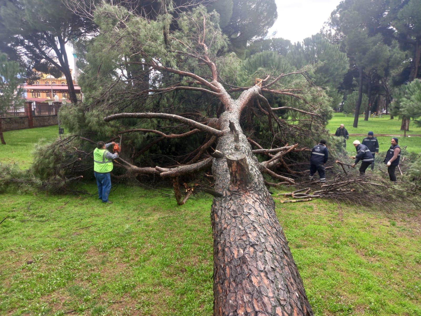 Whatsapp Image 2026 02 14 At 11.16.50