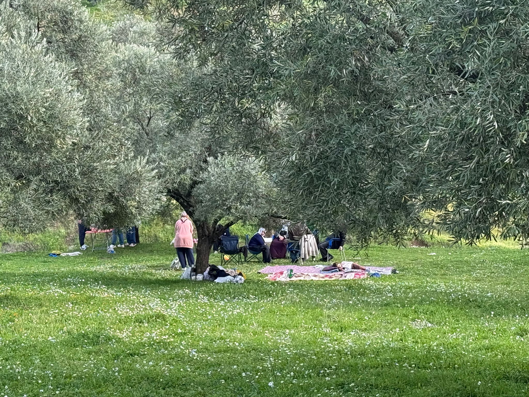 Whatsapp Image 2026 02 15 At 16.11.54 (1)