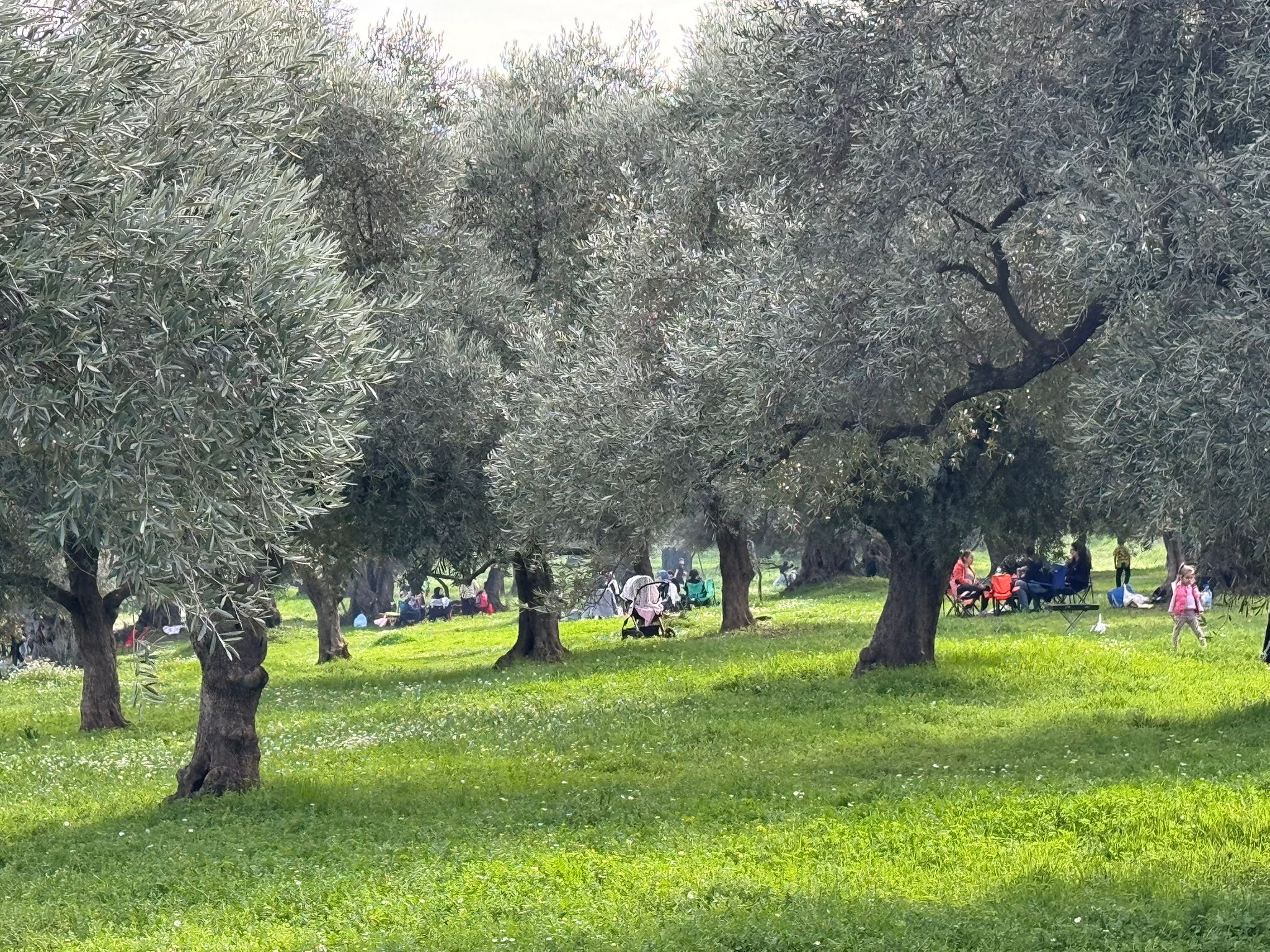 Whatsapp Image 2026 02 15 At 16.11.54 (2)