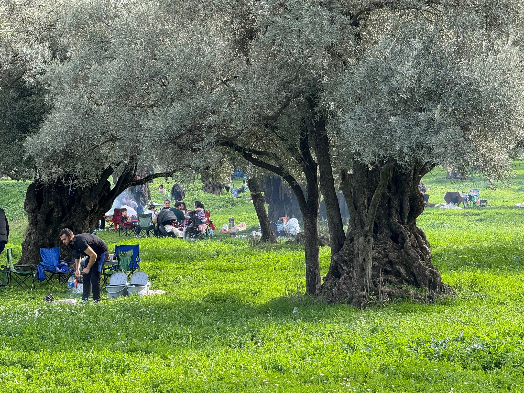 Whatsapp Image 2026 02 15 At 16.11.55 (1)