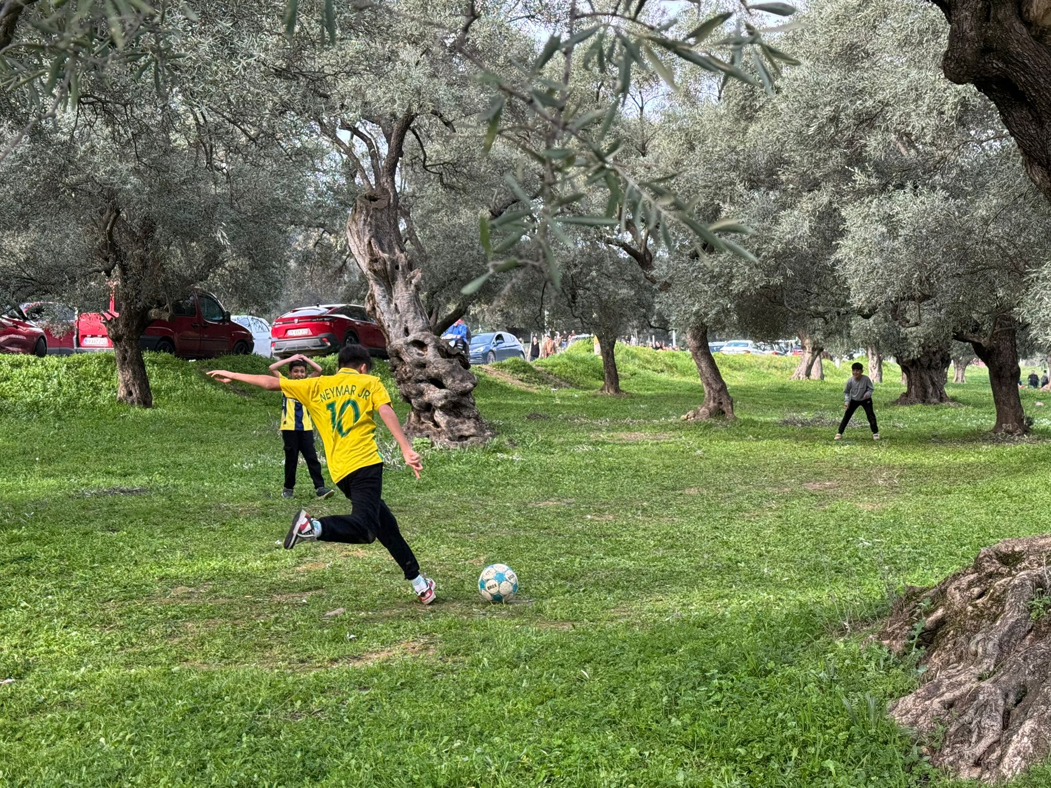 Whatsapp Image 2026 02 15 At 16.11.55