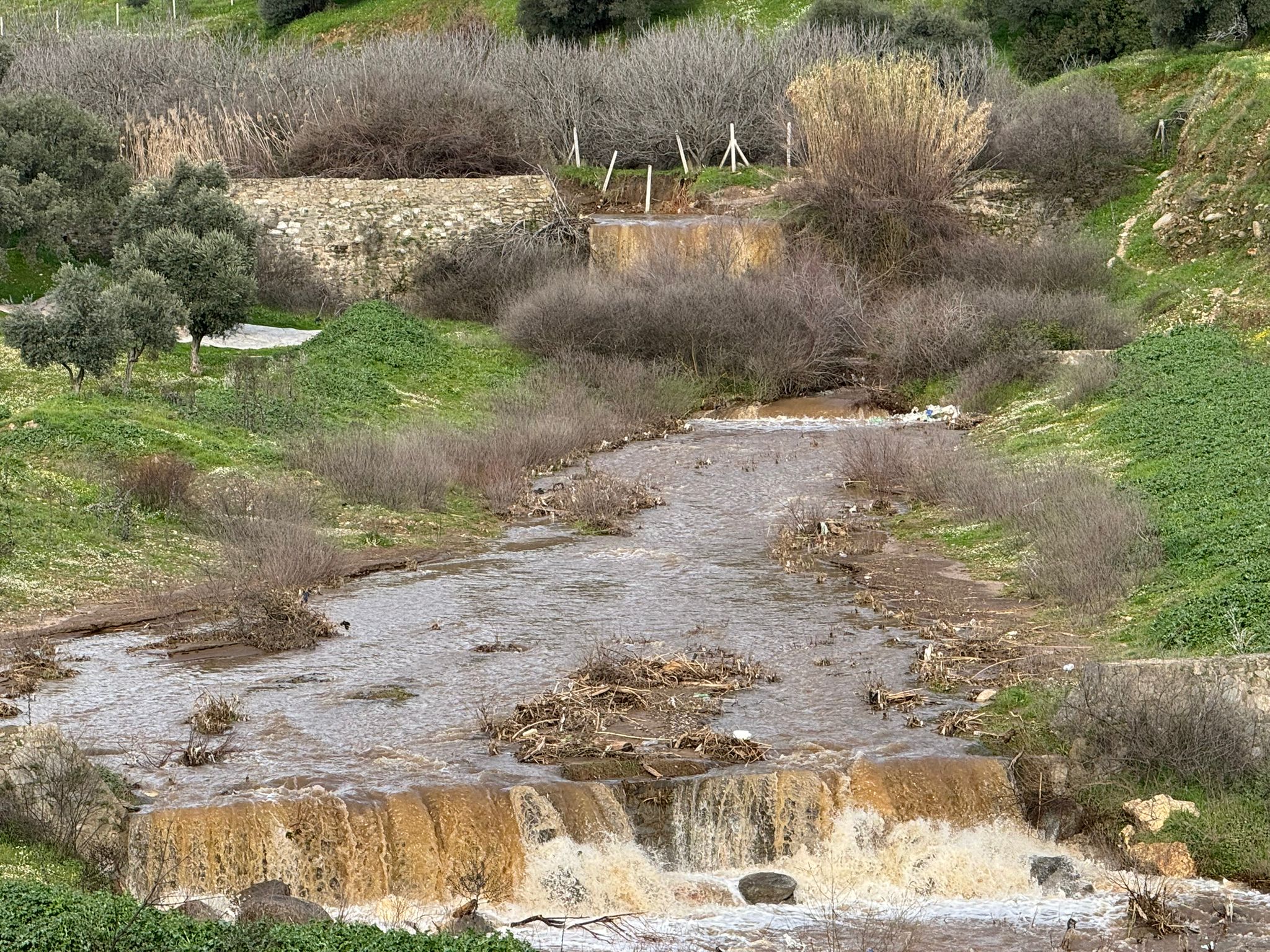 Whatsapp Image 2026 02 15 At 16.11.56 (1)