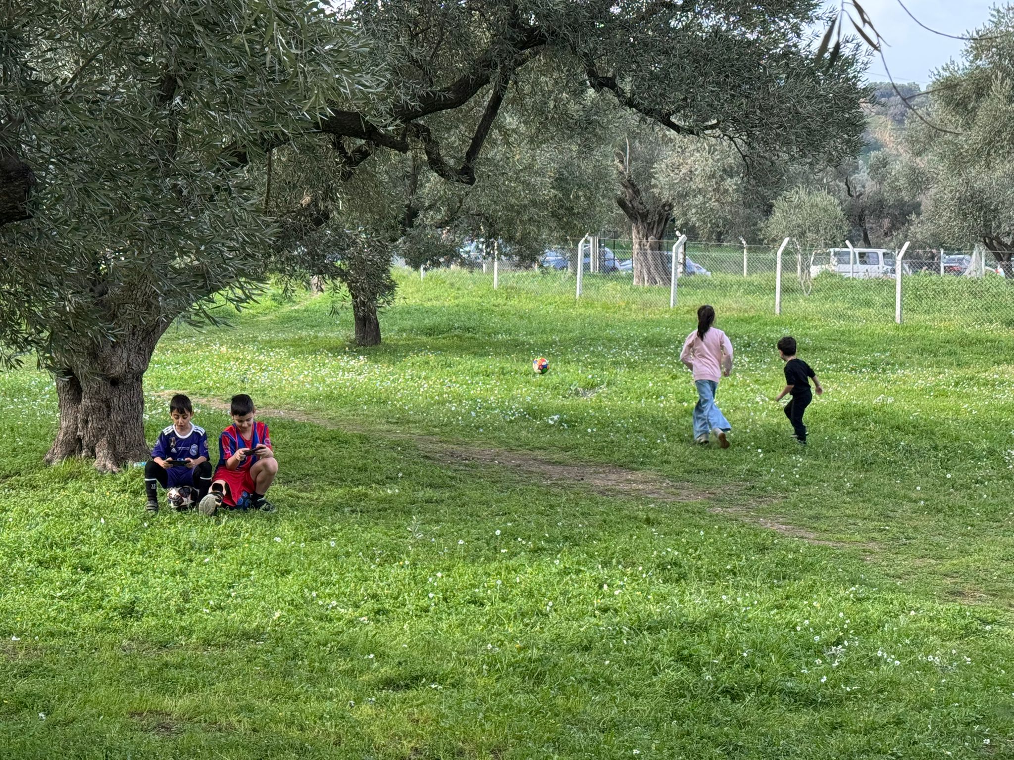 Whatsapp Image 2026 02 15 At 16.11.56