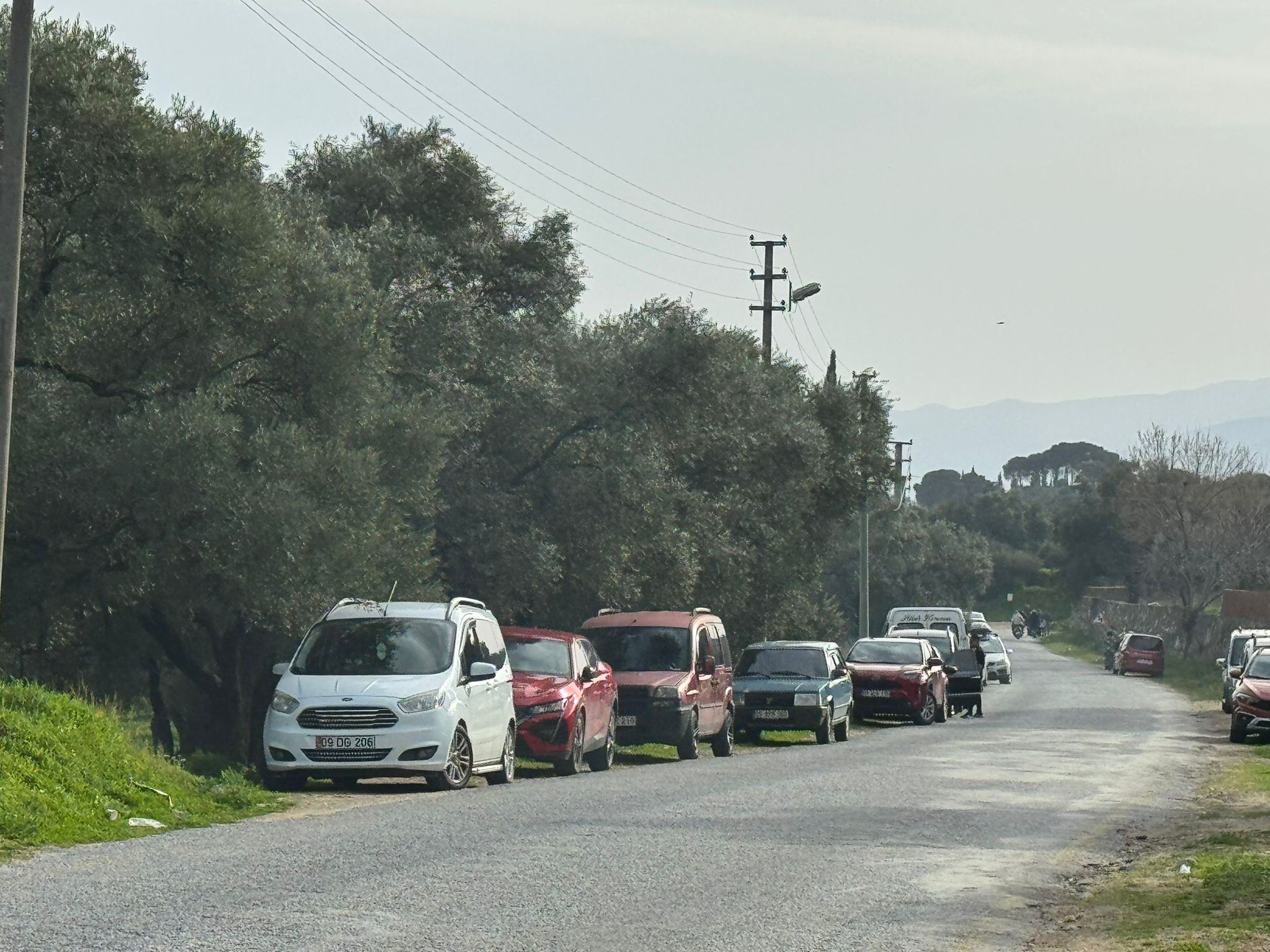 Whatsapp Image 2026 02 15 At 16.11.57