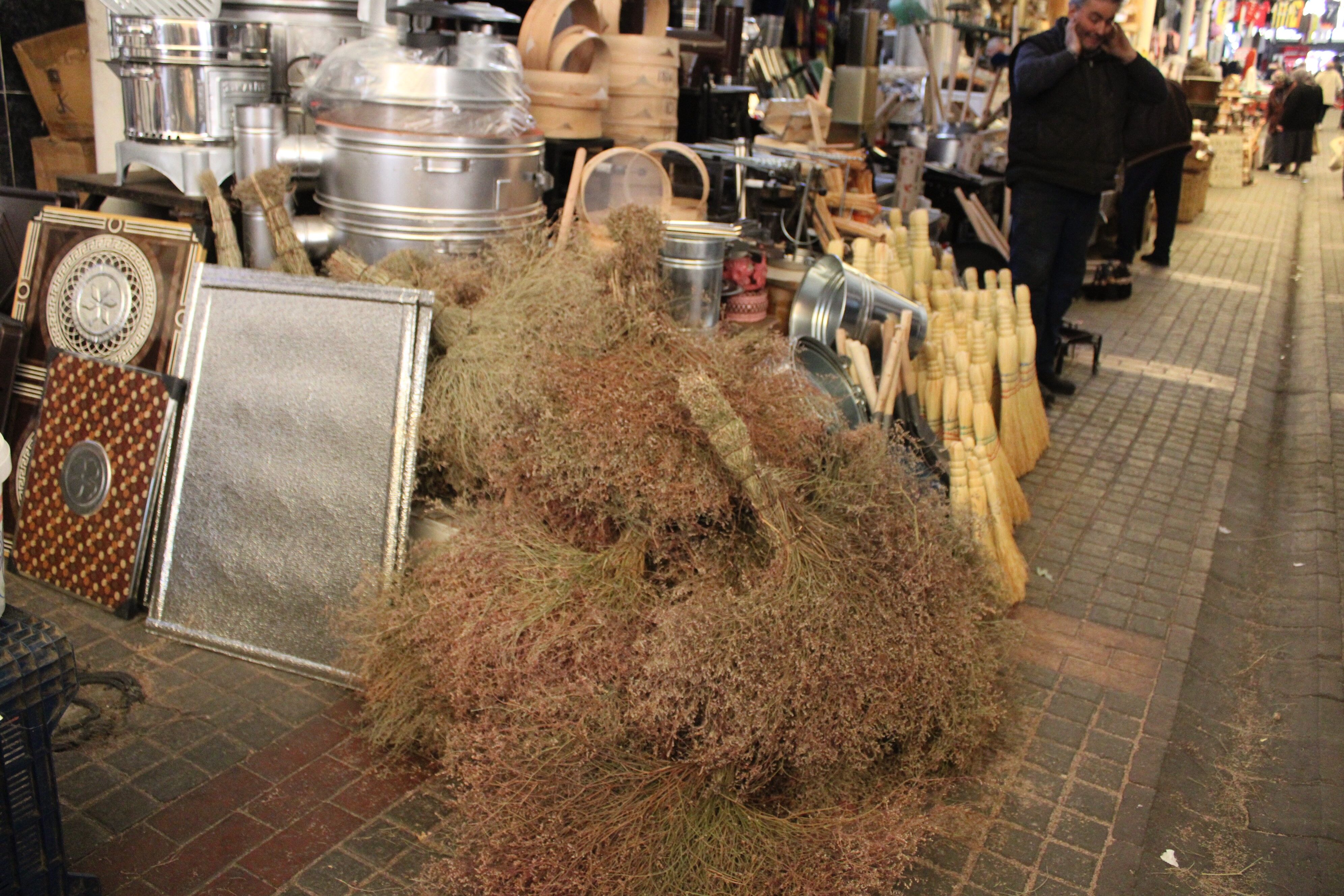 Aydın’da Çalı Süpürgesinin Dyson Ile Savaşı Sürüyor (1)