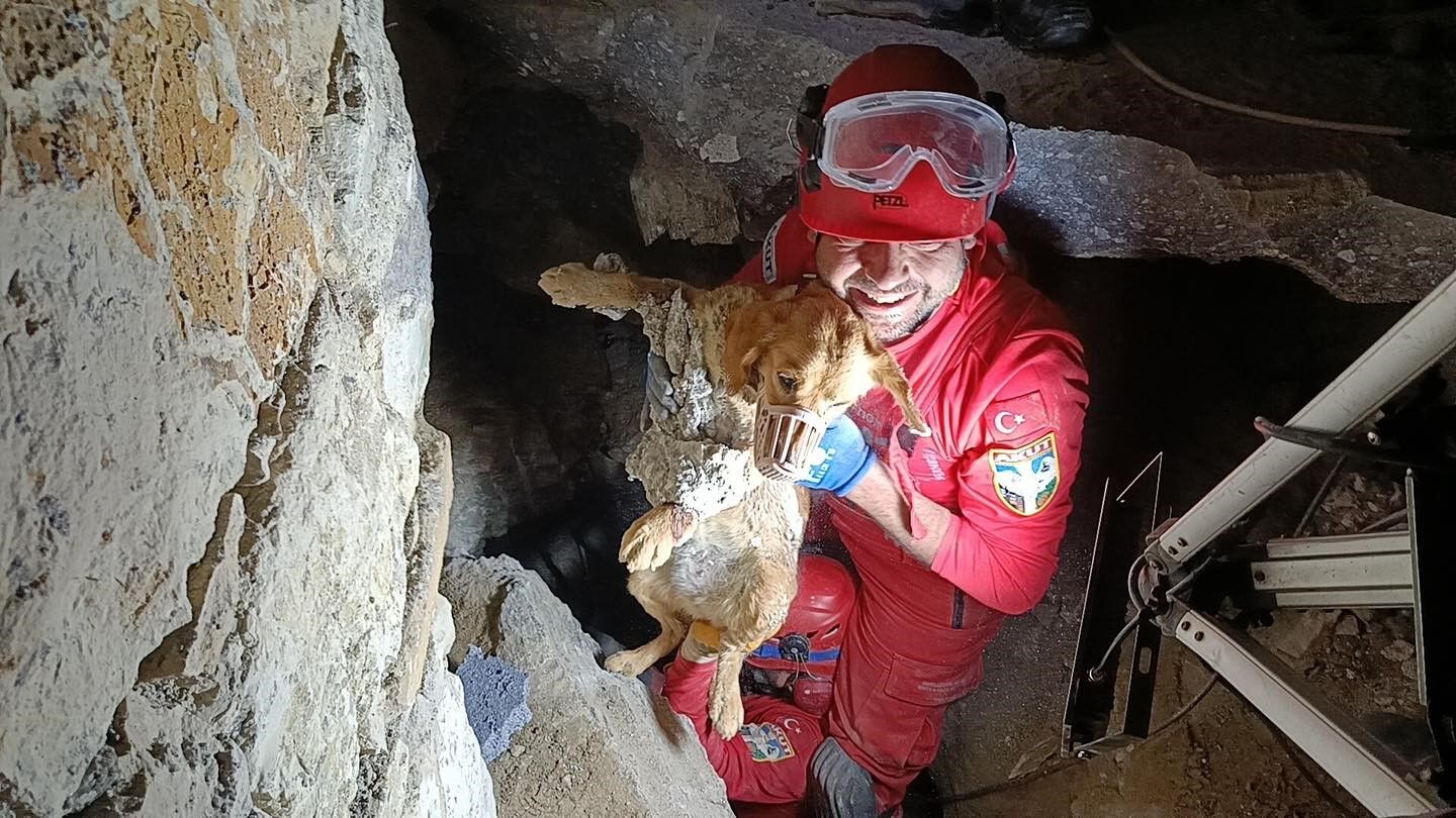 Kuşadası’nda Betona Sıkışan Köpek Kurtarıldı (5)