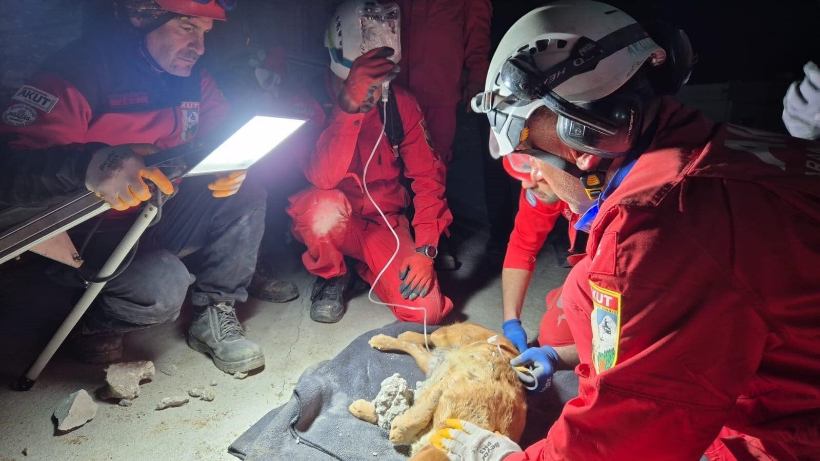 Kuşadası’nda Betona Sıkışan Köpek Kurtarıldı (6)