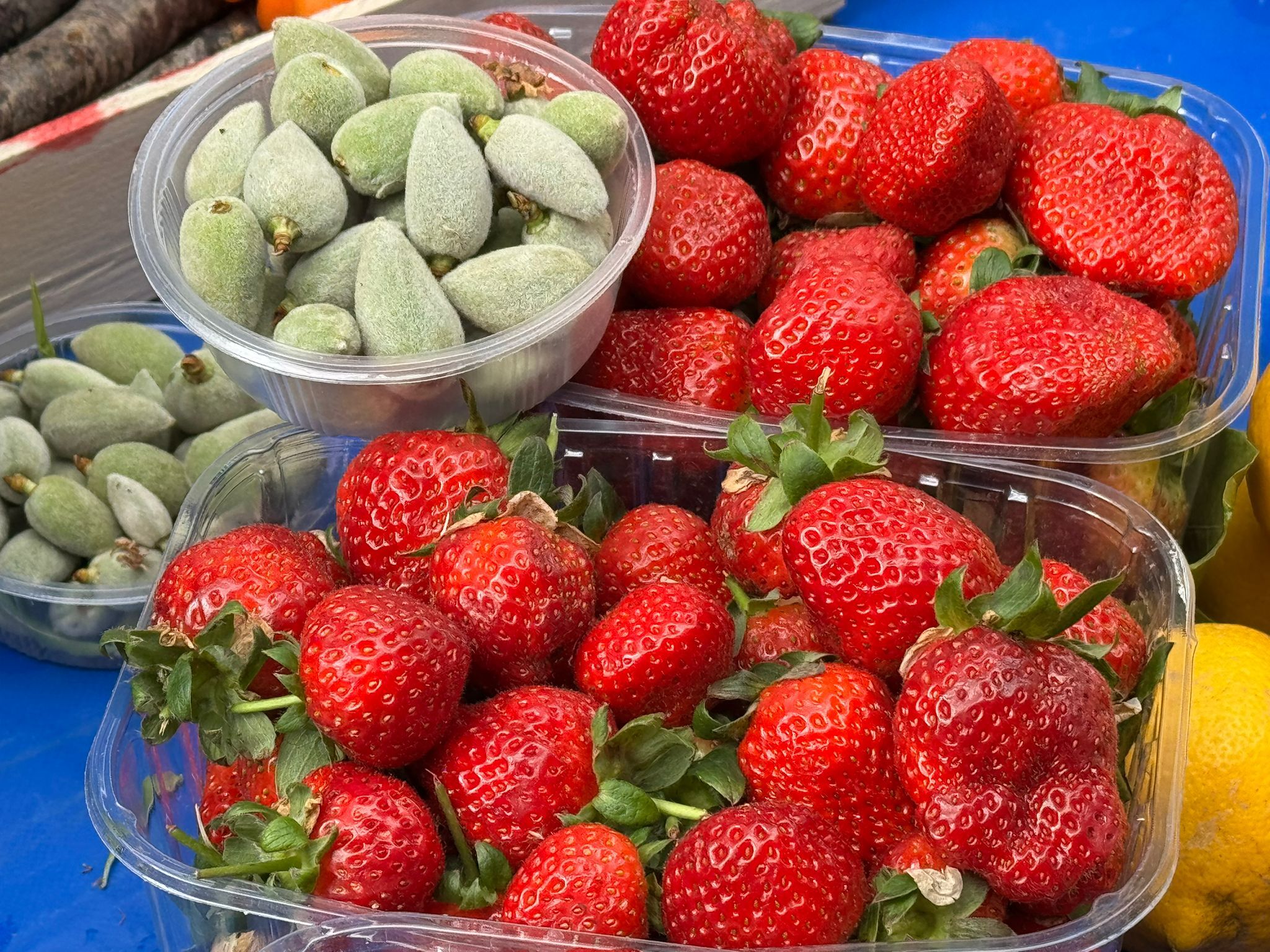 Whatsapp Image 2026 03 05 At 12.59.48