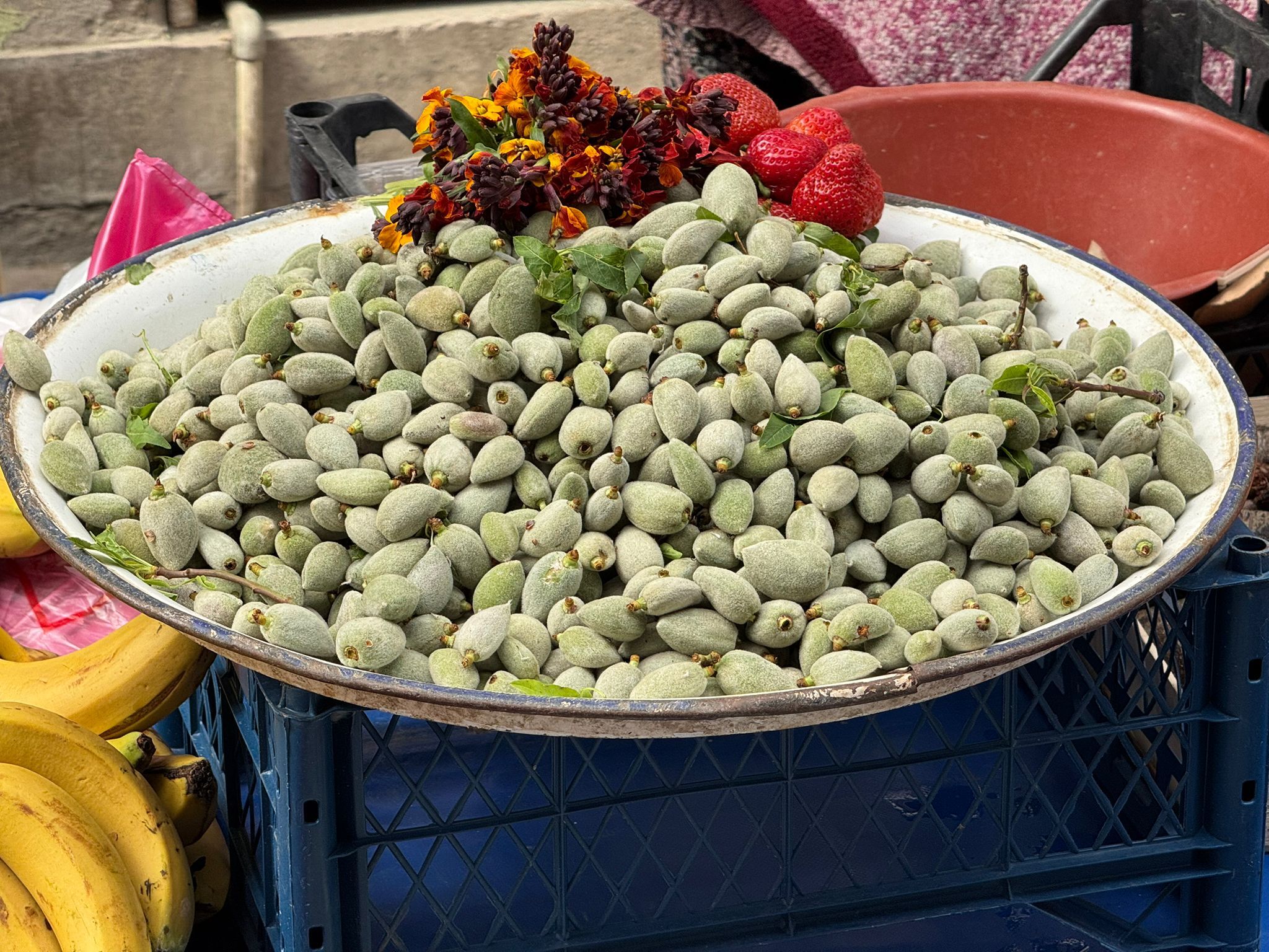 Whatsapp Image 2026 03 05 At 12.59.49 (1)