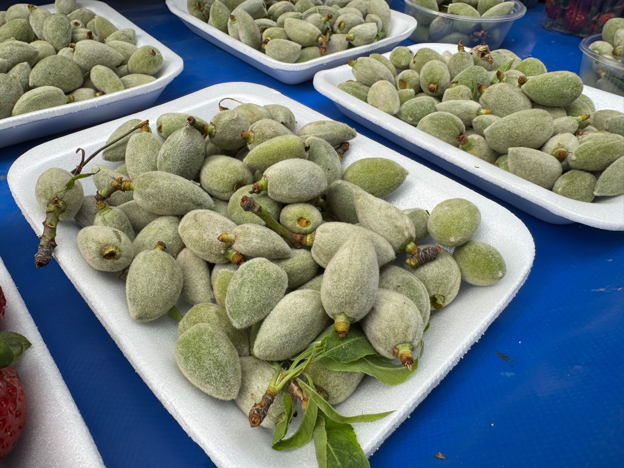 Whatsapp Image 2026 03 05 At 12.59.49 (2)