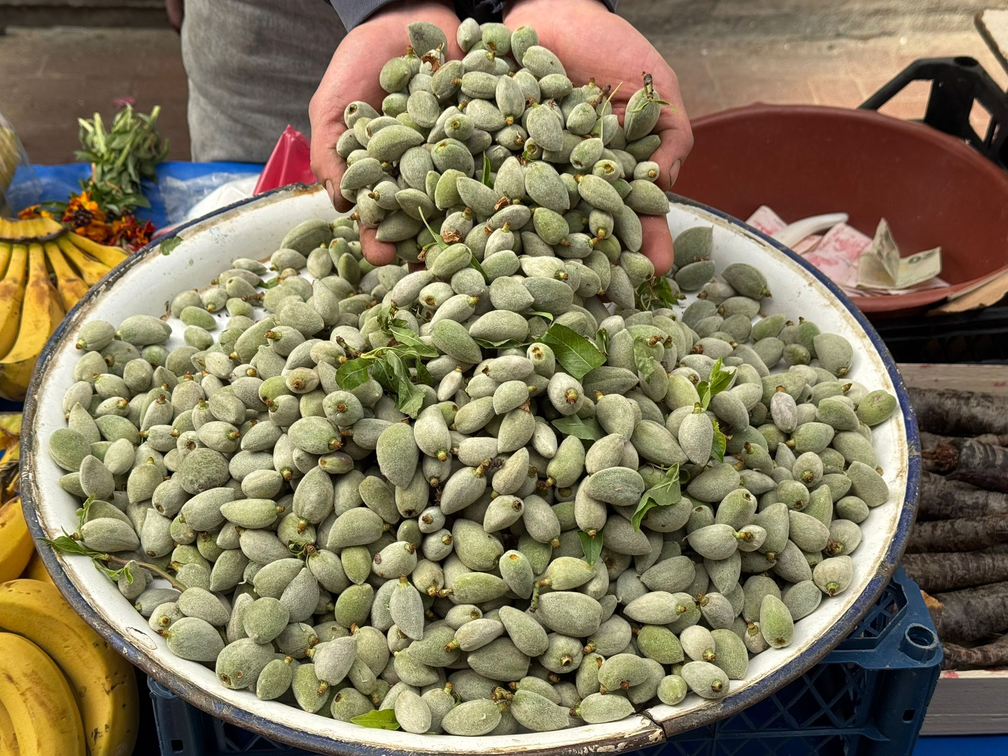 Whatsapp Image 2026 03 05 At 12.59.49