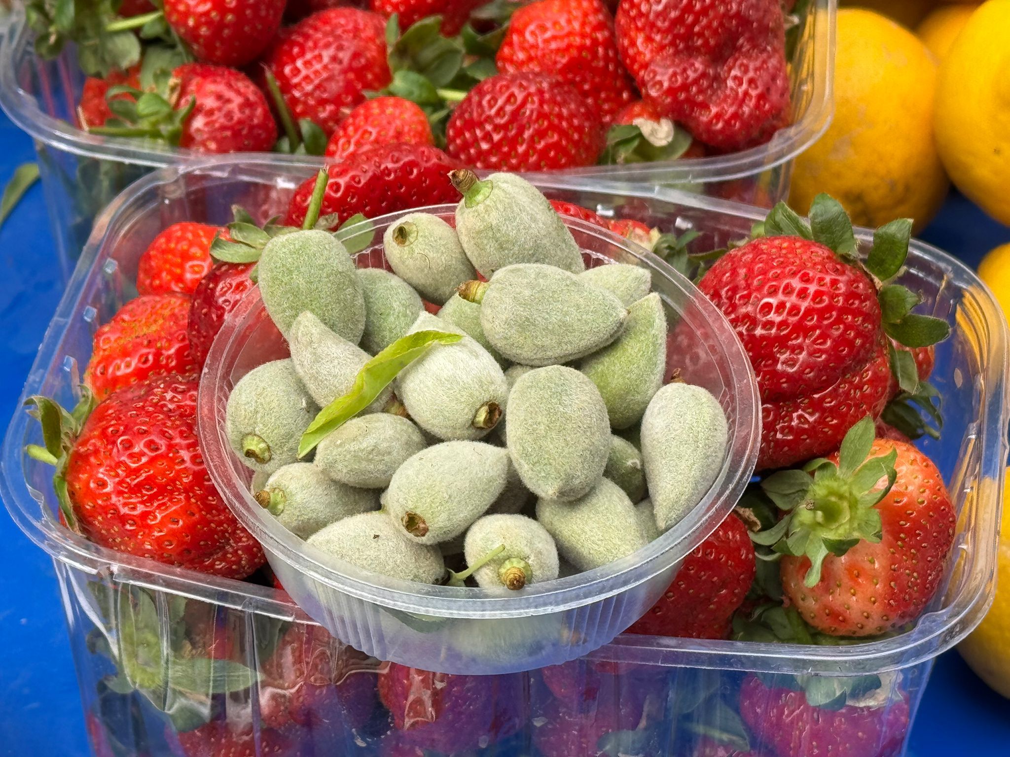 Whatsapp Image 2026 03 05 At 12.59.50 (1)