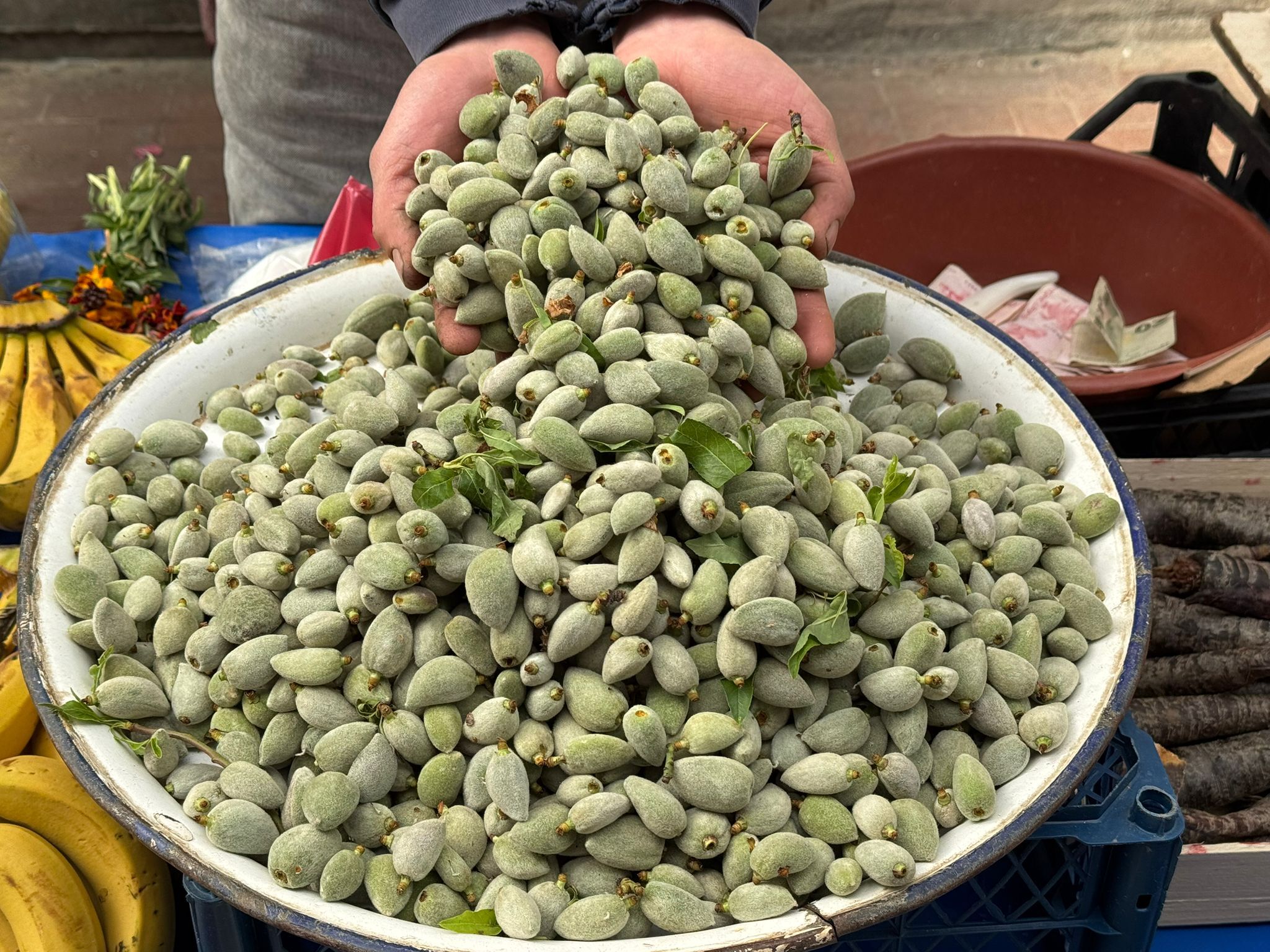 Whatsapp Image 2026 03 05 At 12.59.50