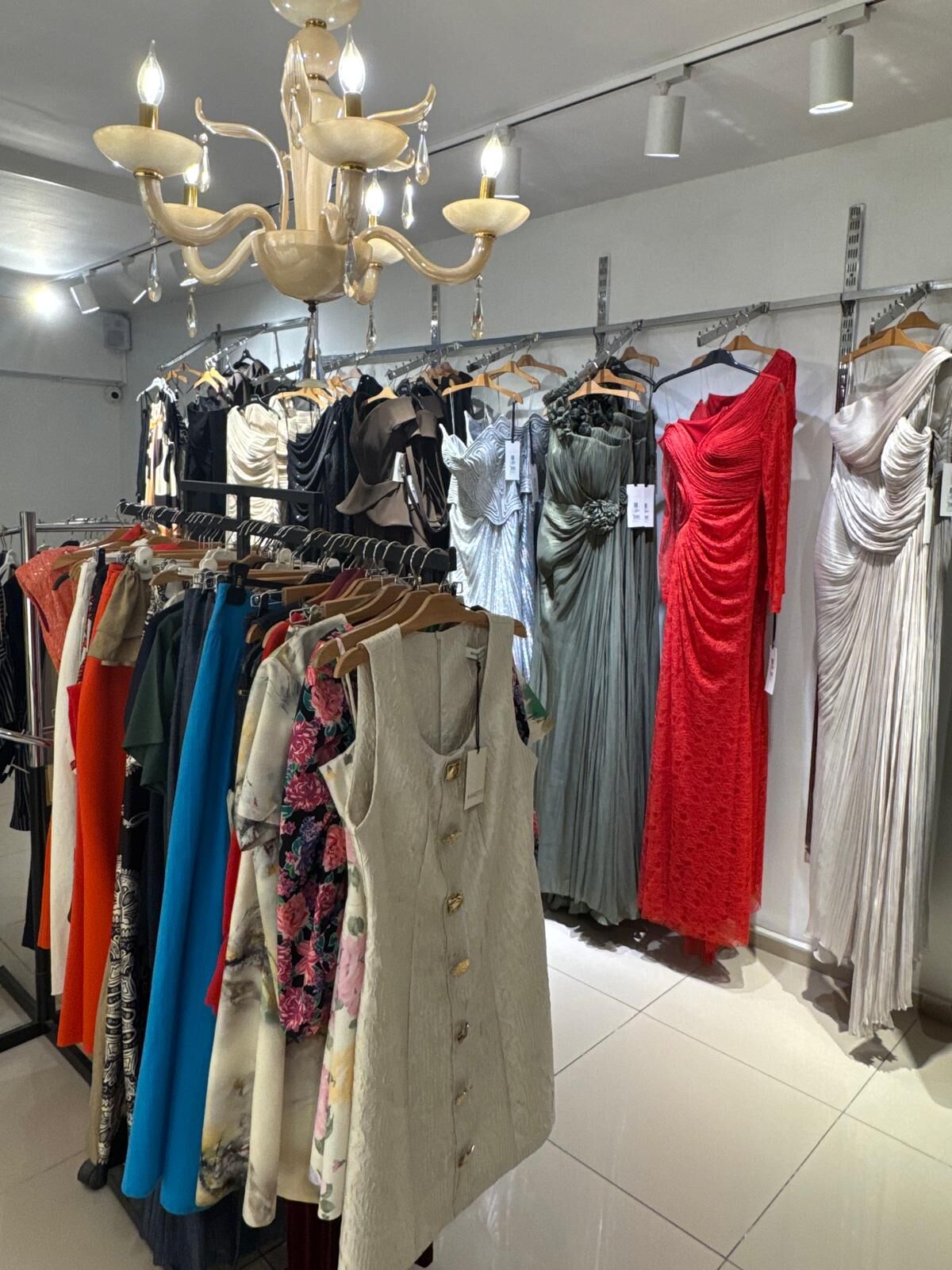 Whatsapp Image 2026 03 10 At 10.16.01