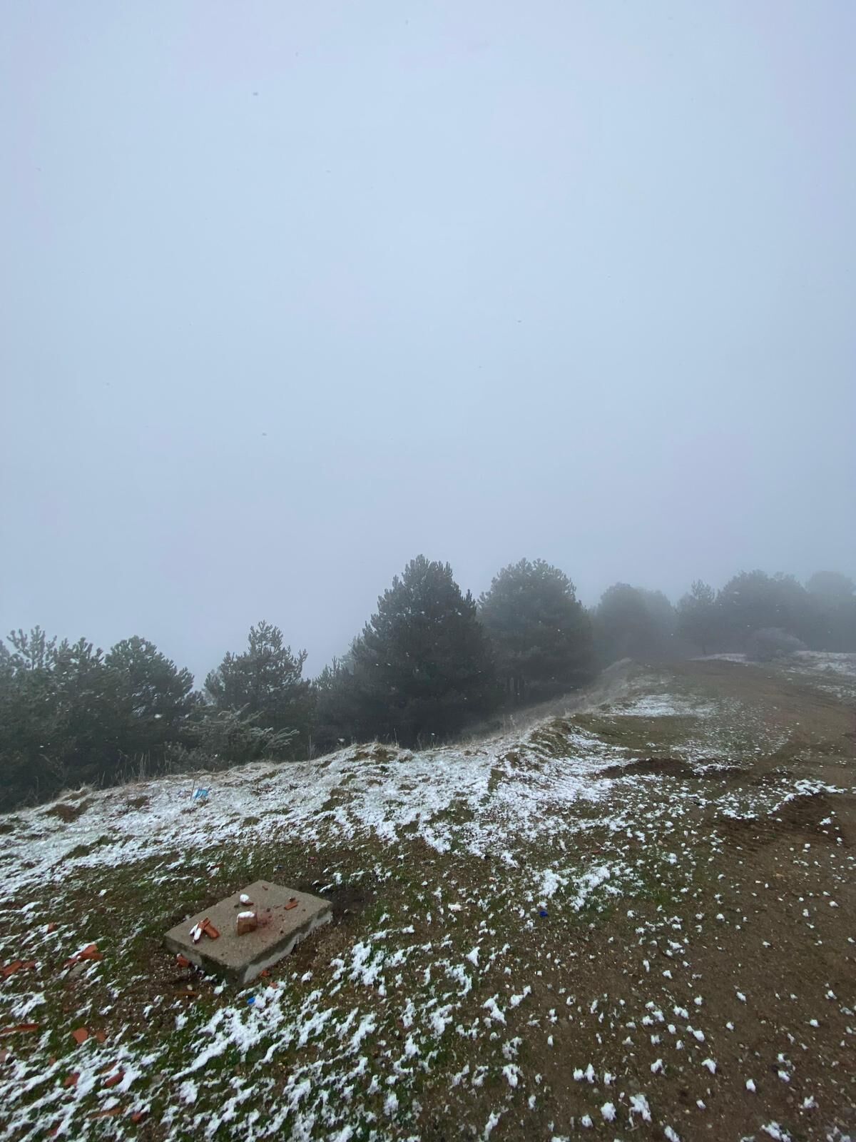 Whatsapp Image 2026 03 21 At 10.53.27 (1)