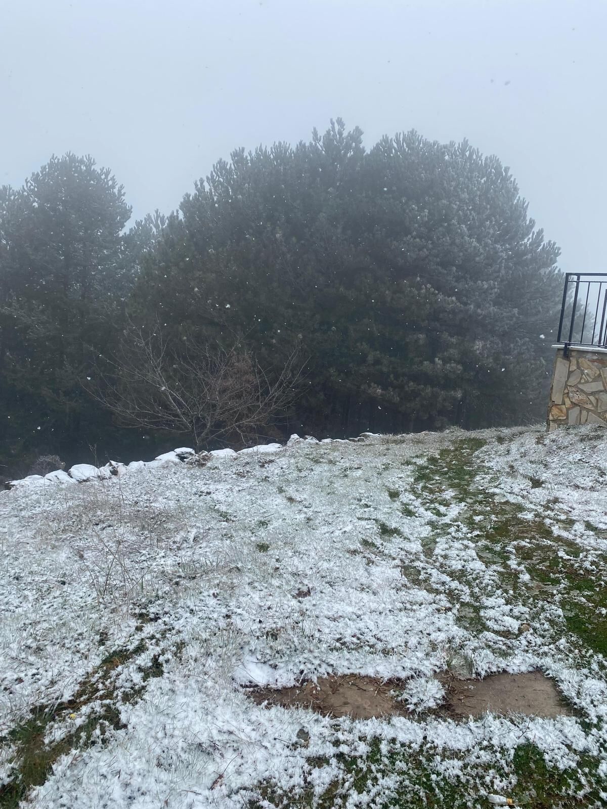 Whatsapp Image 2026 03 21 At 10.53.28