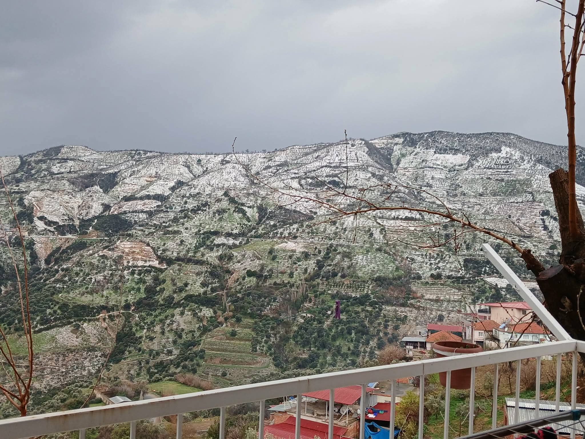 Whatsapp Image 2026 03 24 At 21.35.31 (1)