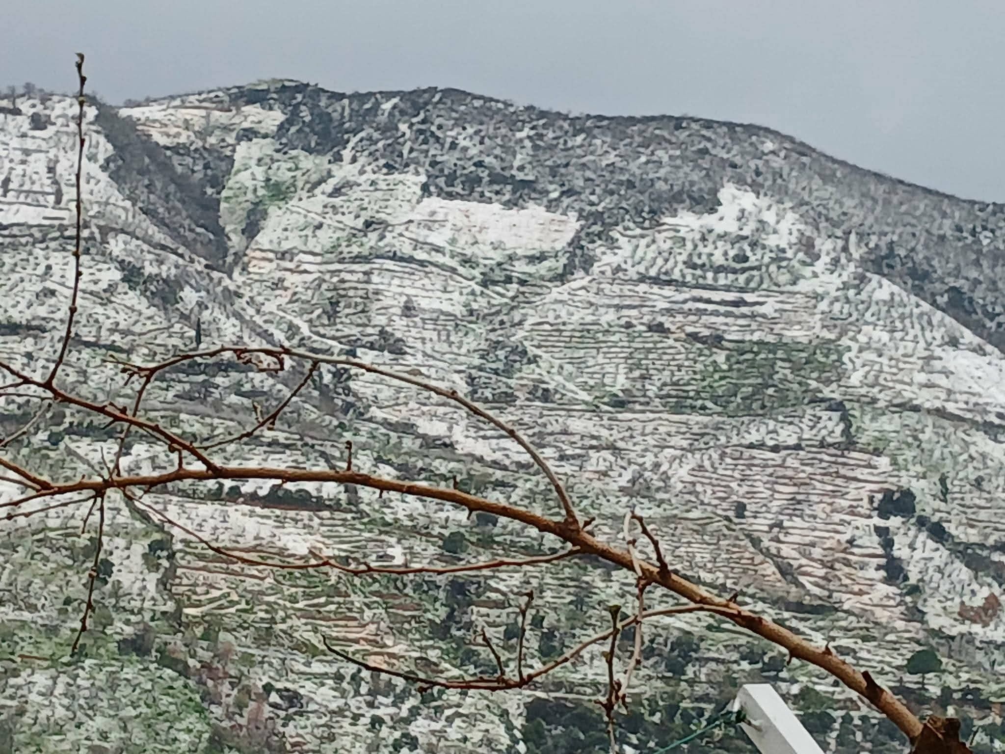 Whatsapp Image 2026 03 24 At 21.35.31 (2)