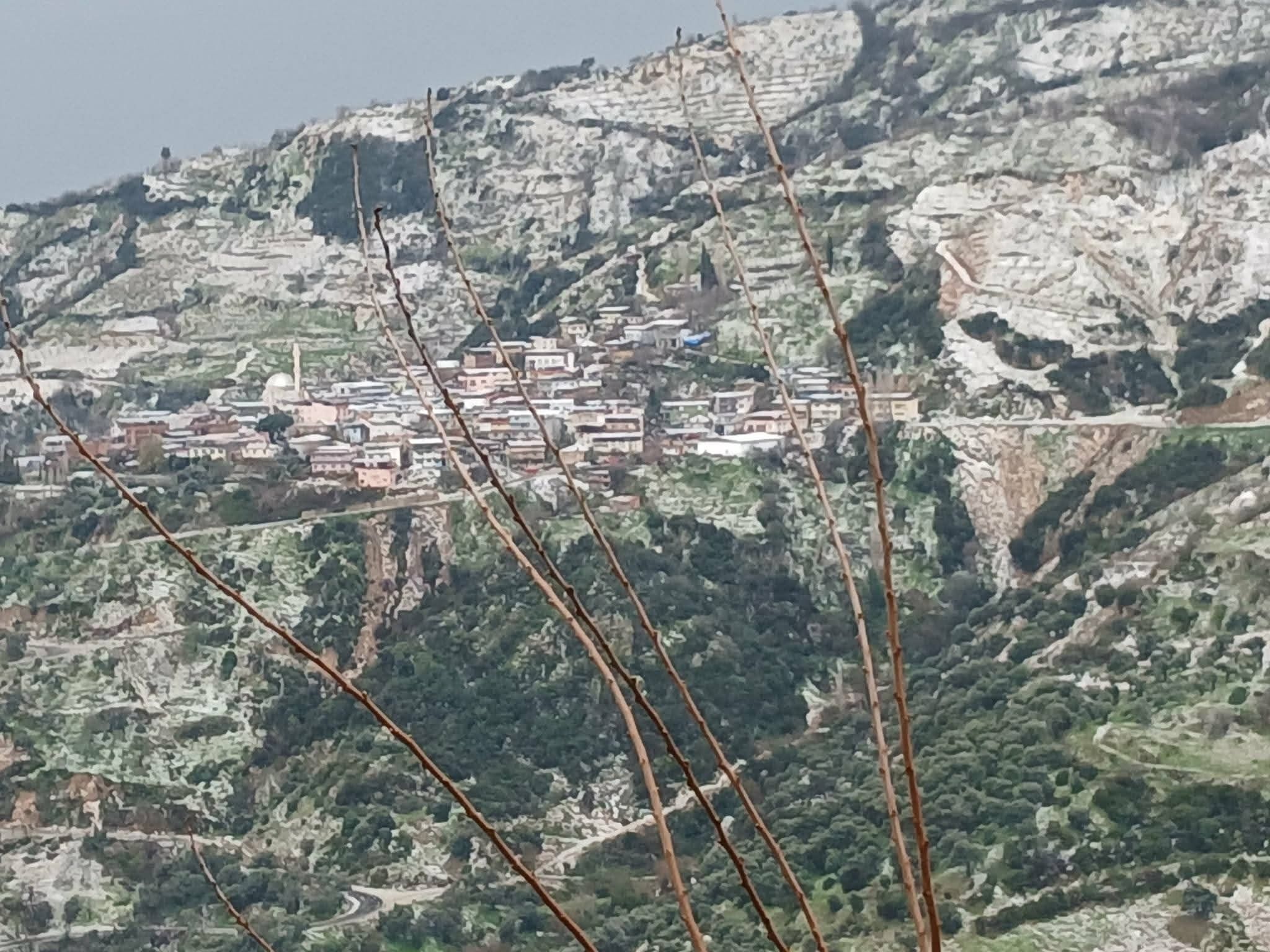 Whatsapp Image 2026 03 24 At 21.35.31 (3)