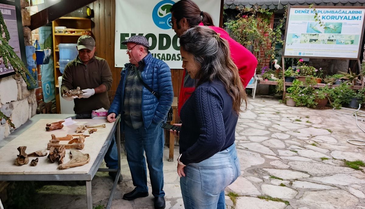 Aydın’da Fırtına Sonrası Kemikler Ortaya Çıktı, Inceleme Başladı (4)