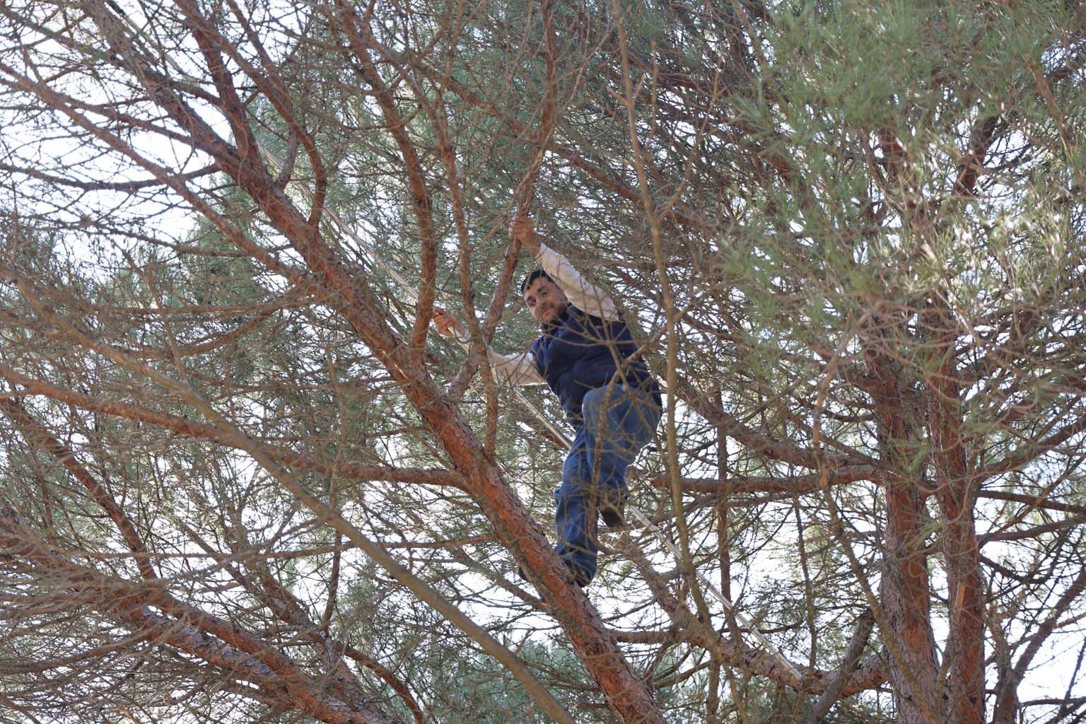 Aydın’da Günlük 3 Bin 500 Liraya Çalışıyorlar (4)