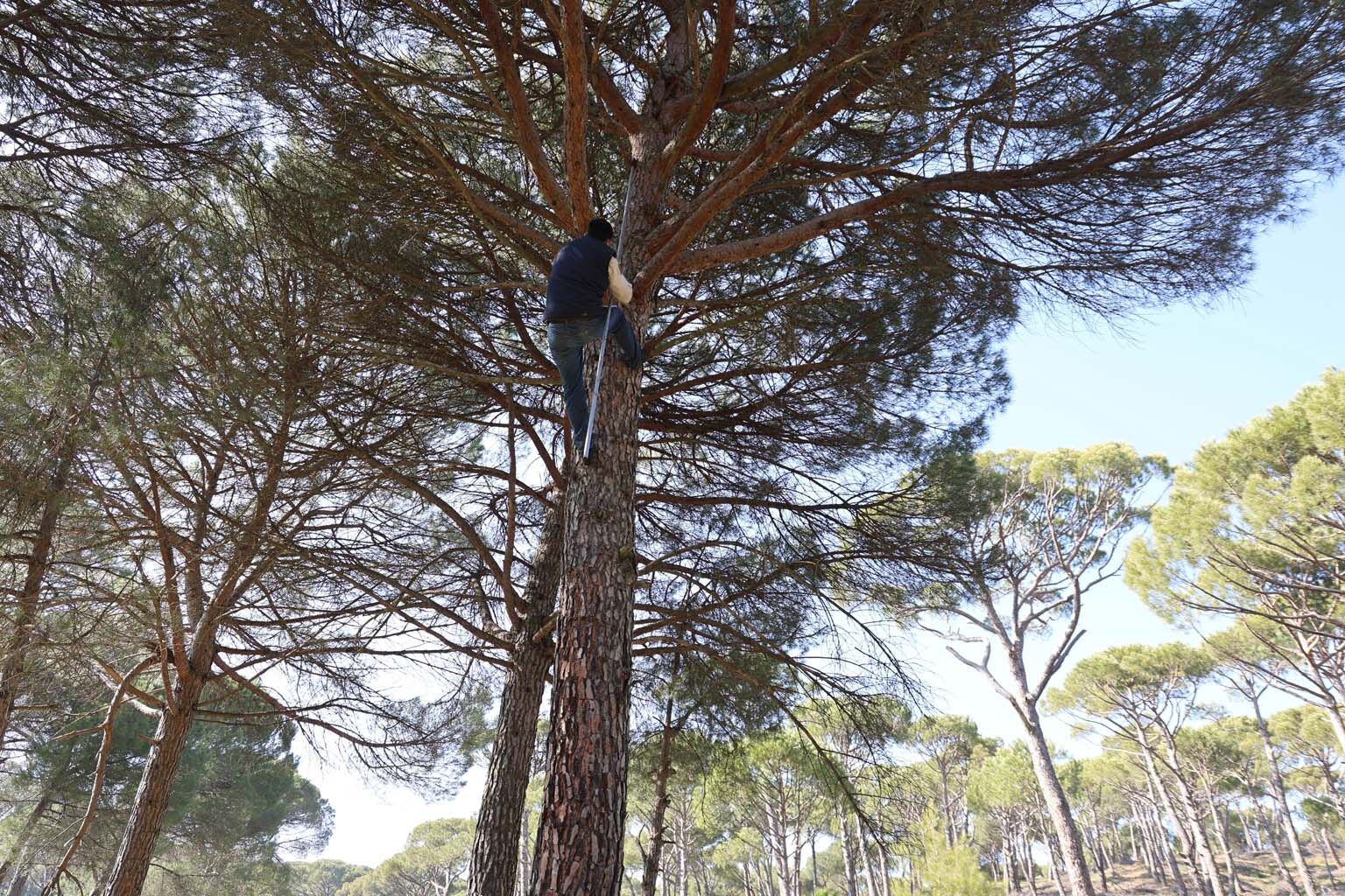 Aydın’da Günlük 3 Bin 500 Liraya Çalışıyorlar (5)