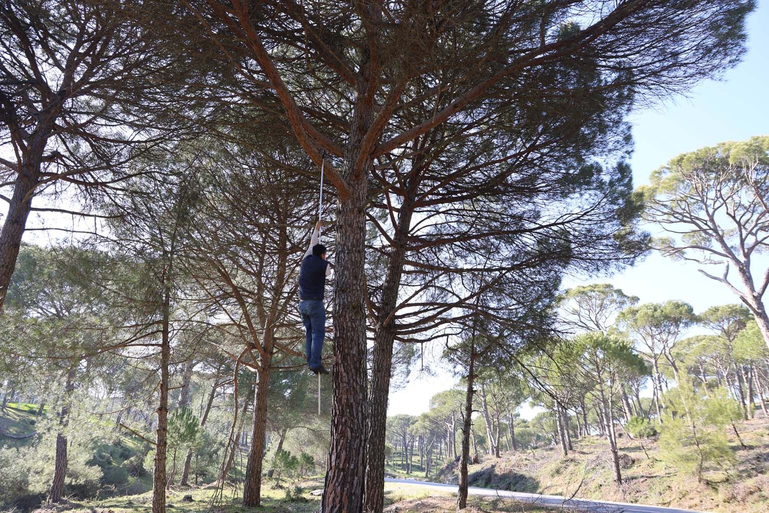 Aydın’da Günlük 3 Bin 500 Liraya Çalışıyorlar (6)