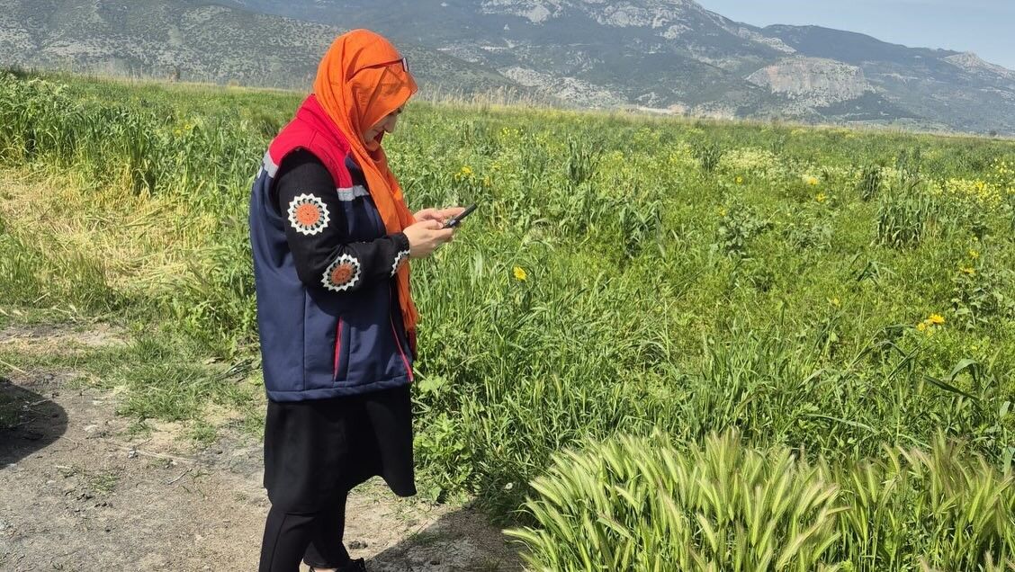 Aydın’da Tarım Arazilerinde Alarm (3)