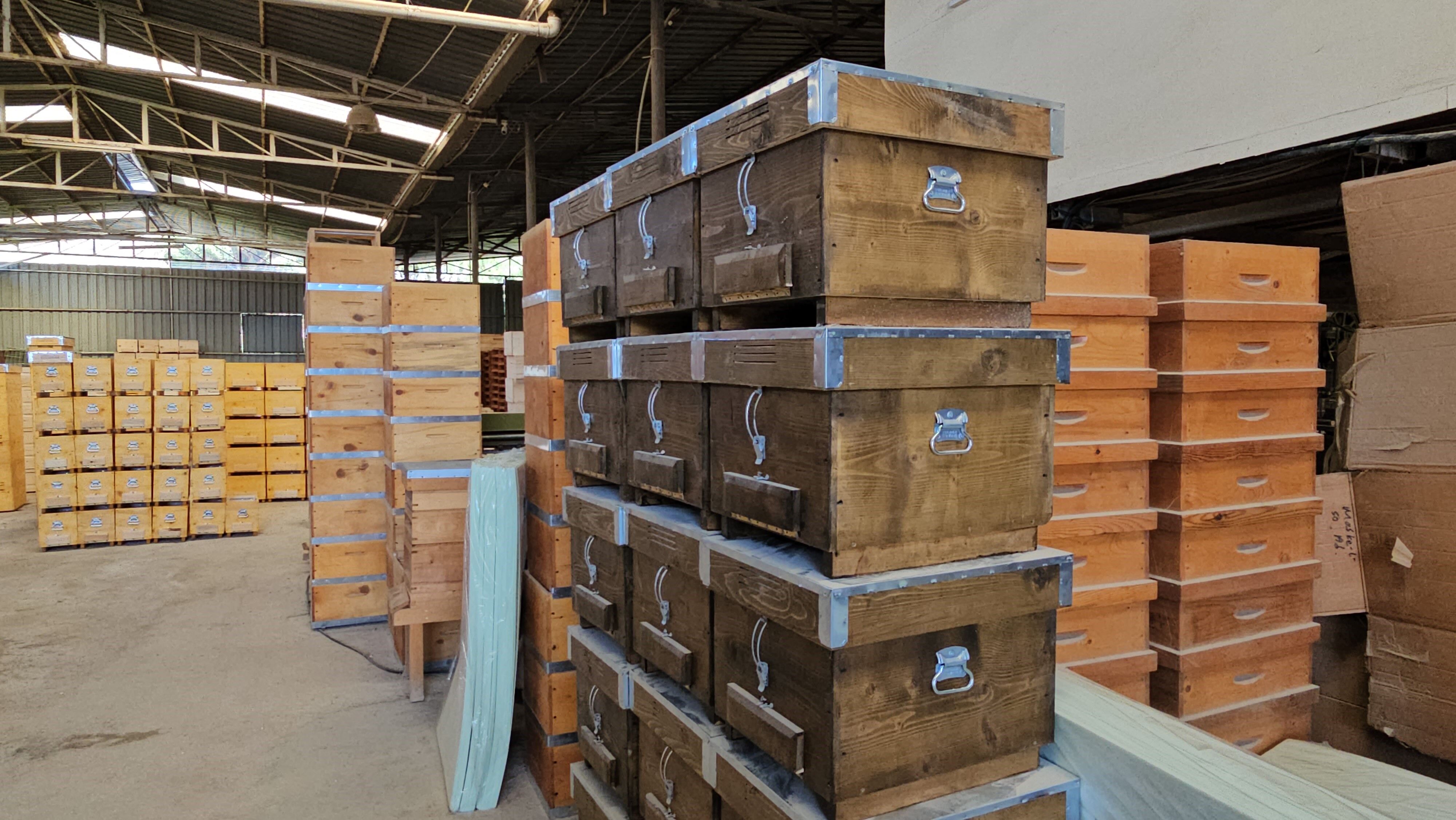 Aydın’dan Dünyaya Kovan Ihraç Ediliyor (3)