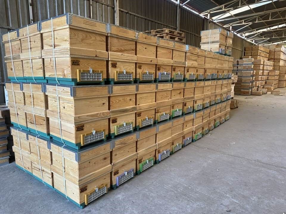 Aydın’dan Dünyaya Kovan Ihraç Ediliyor (7)